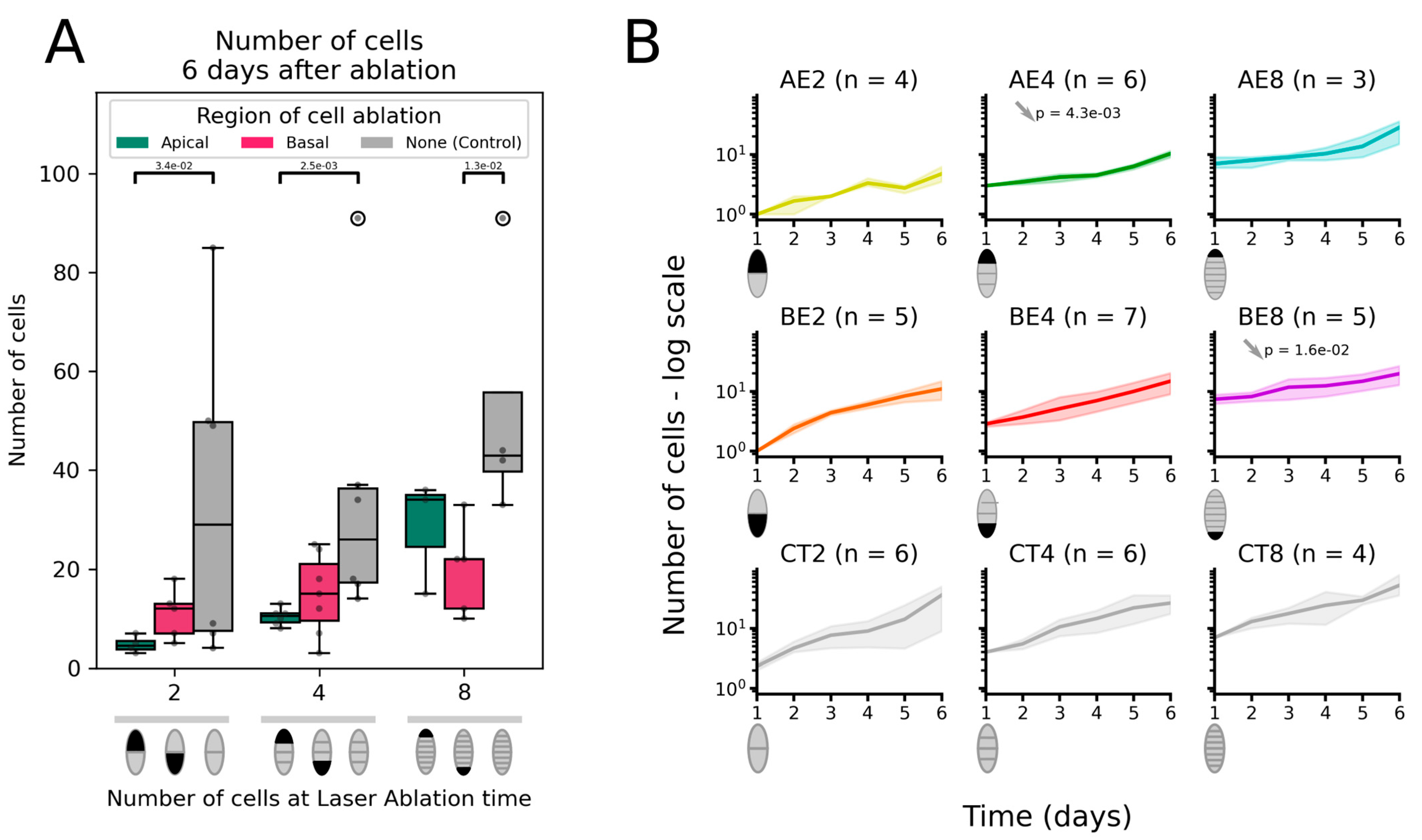 Plants 13 01341 g004 Plants 13 01341 g004