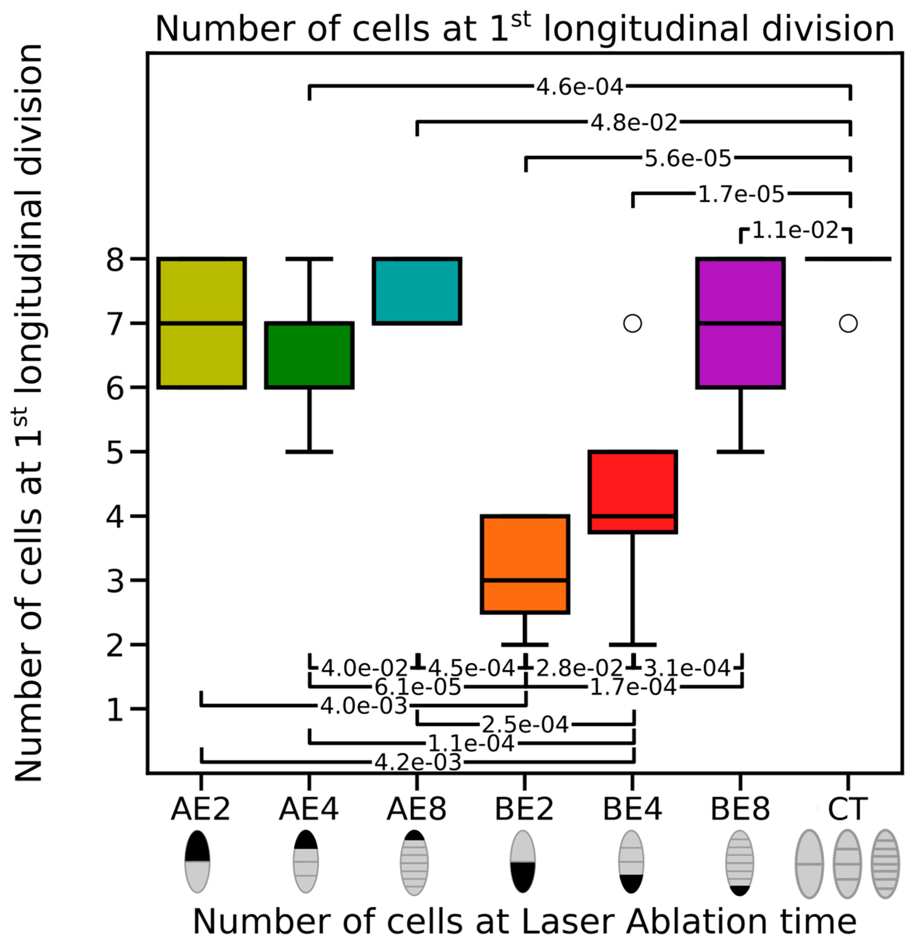 Plants 13 01341 g006 Plants 13 01341 g006