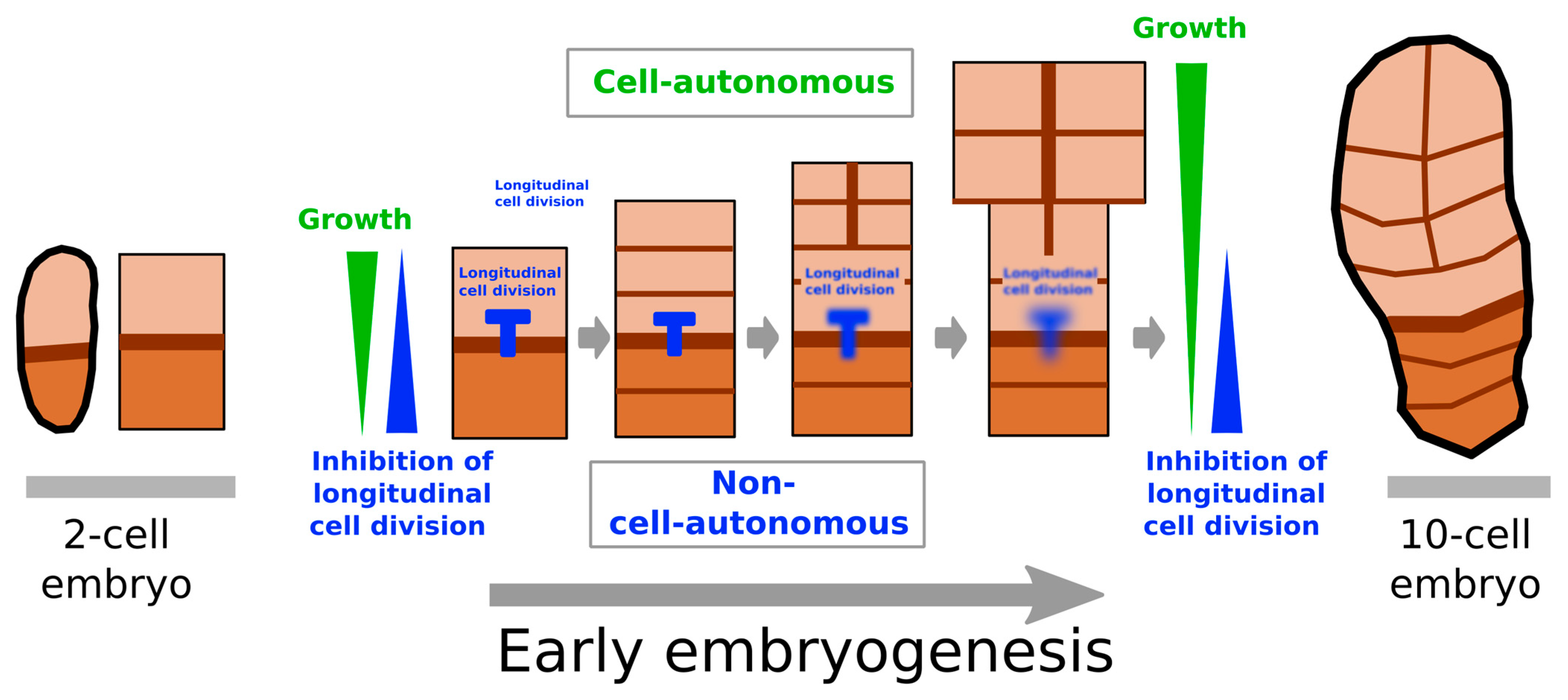 Plants 13 01341 g007 Plants 13 01341 g007