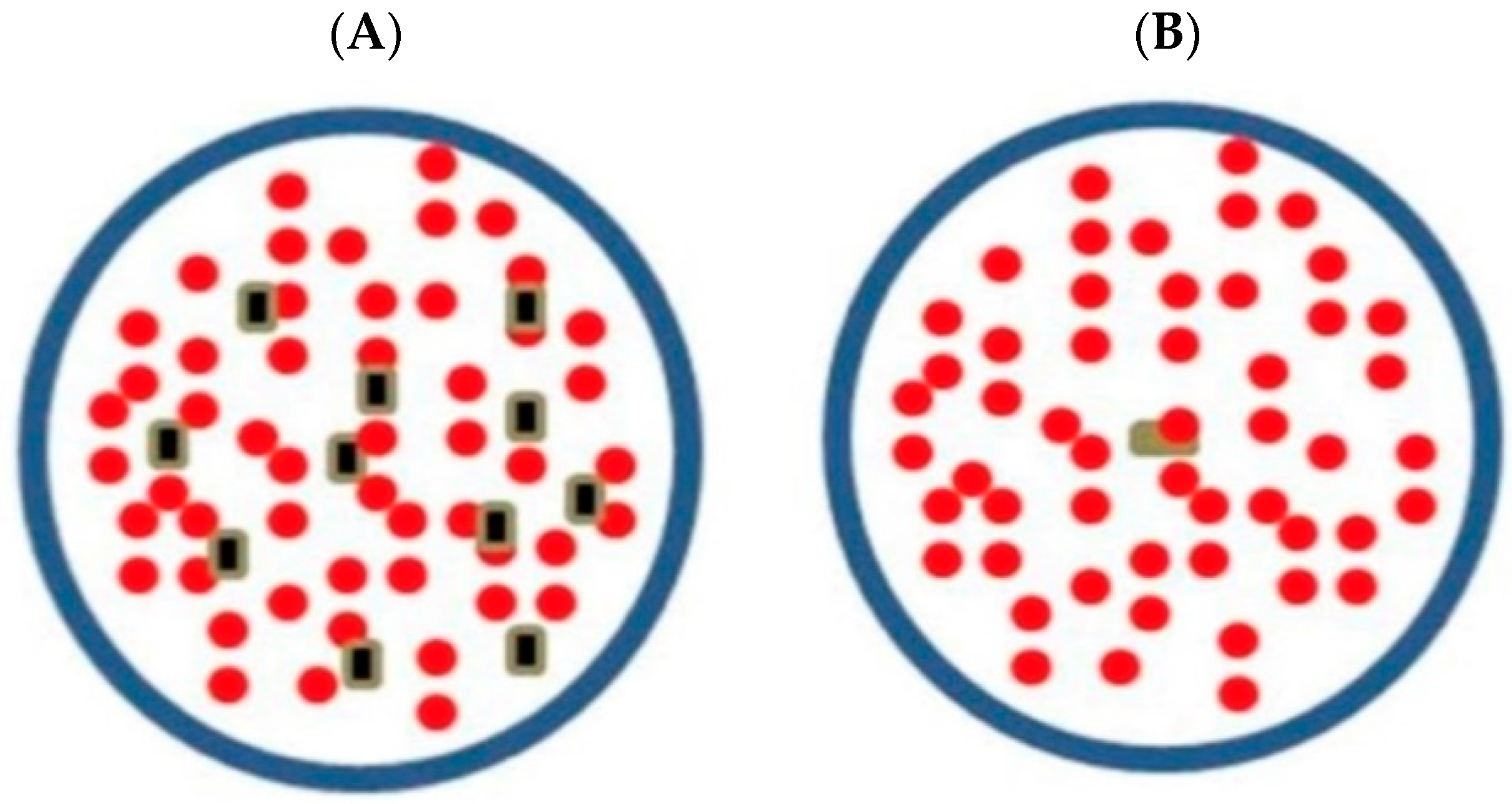Plants 13 01342 sch002