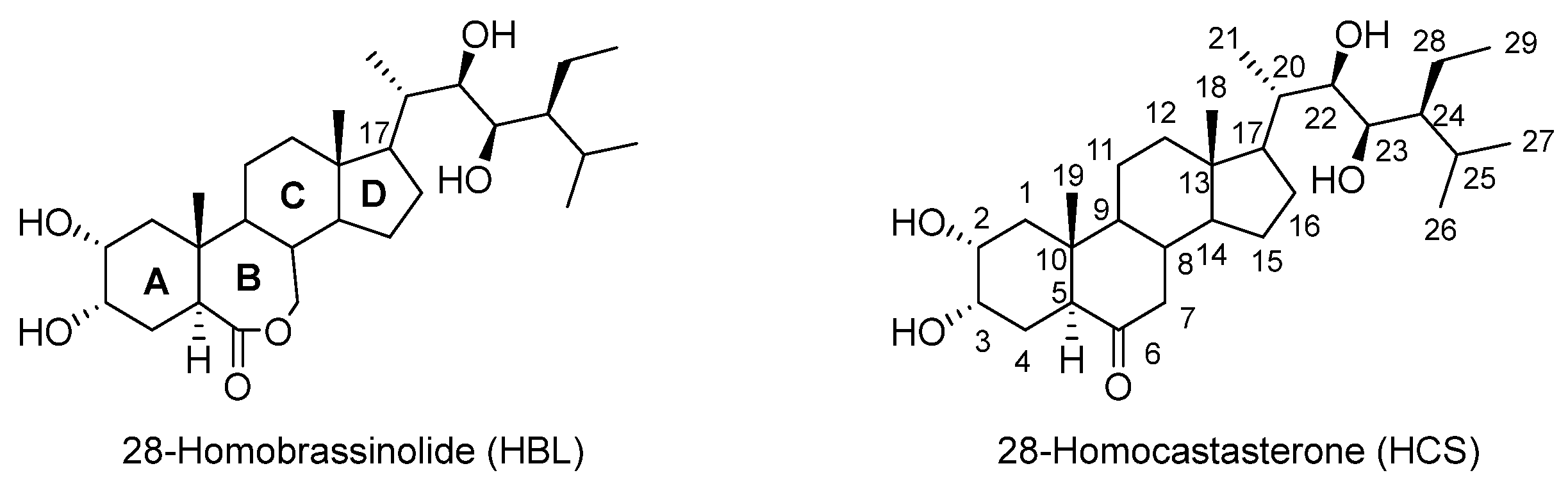 Plants 13 01345 g007
