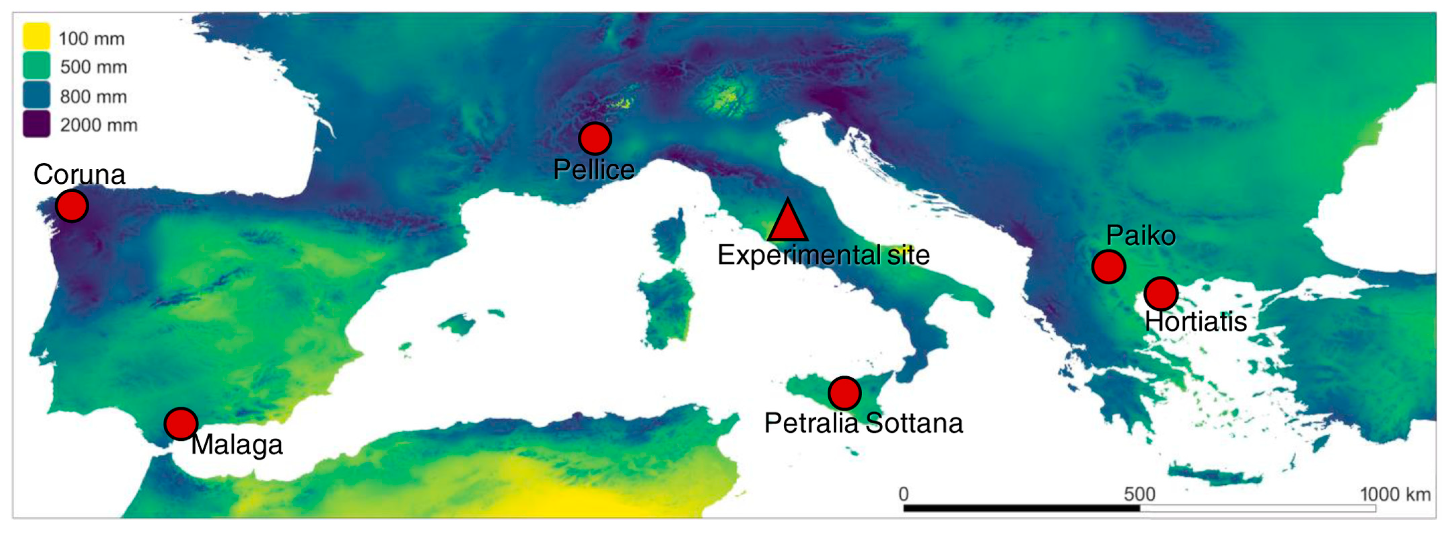 Plants 13 01355 g001