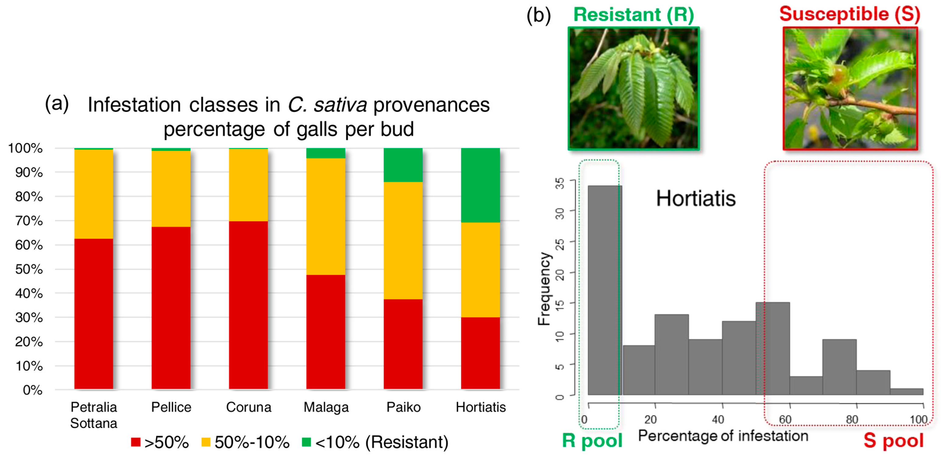 Plants 13 01355 g002