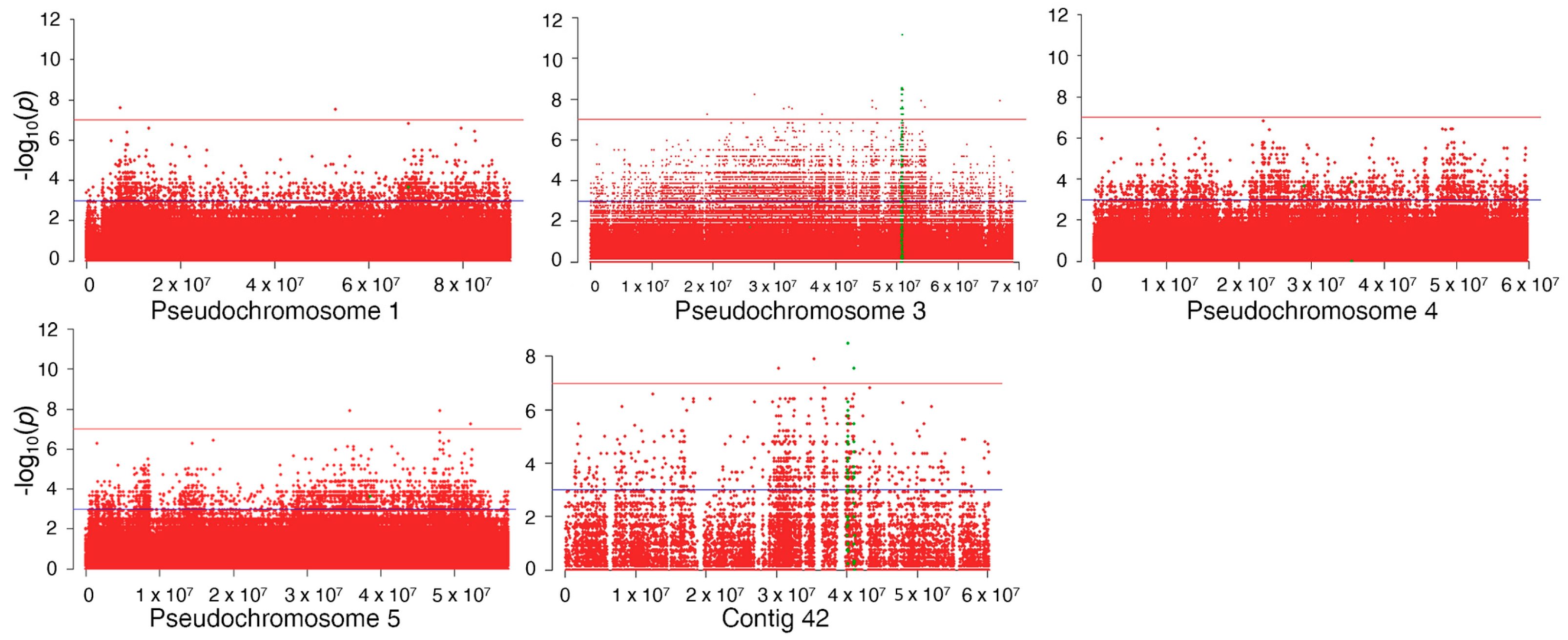 Plants 13 01355 g004