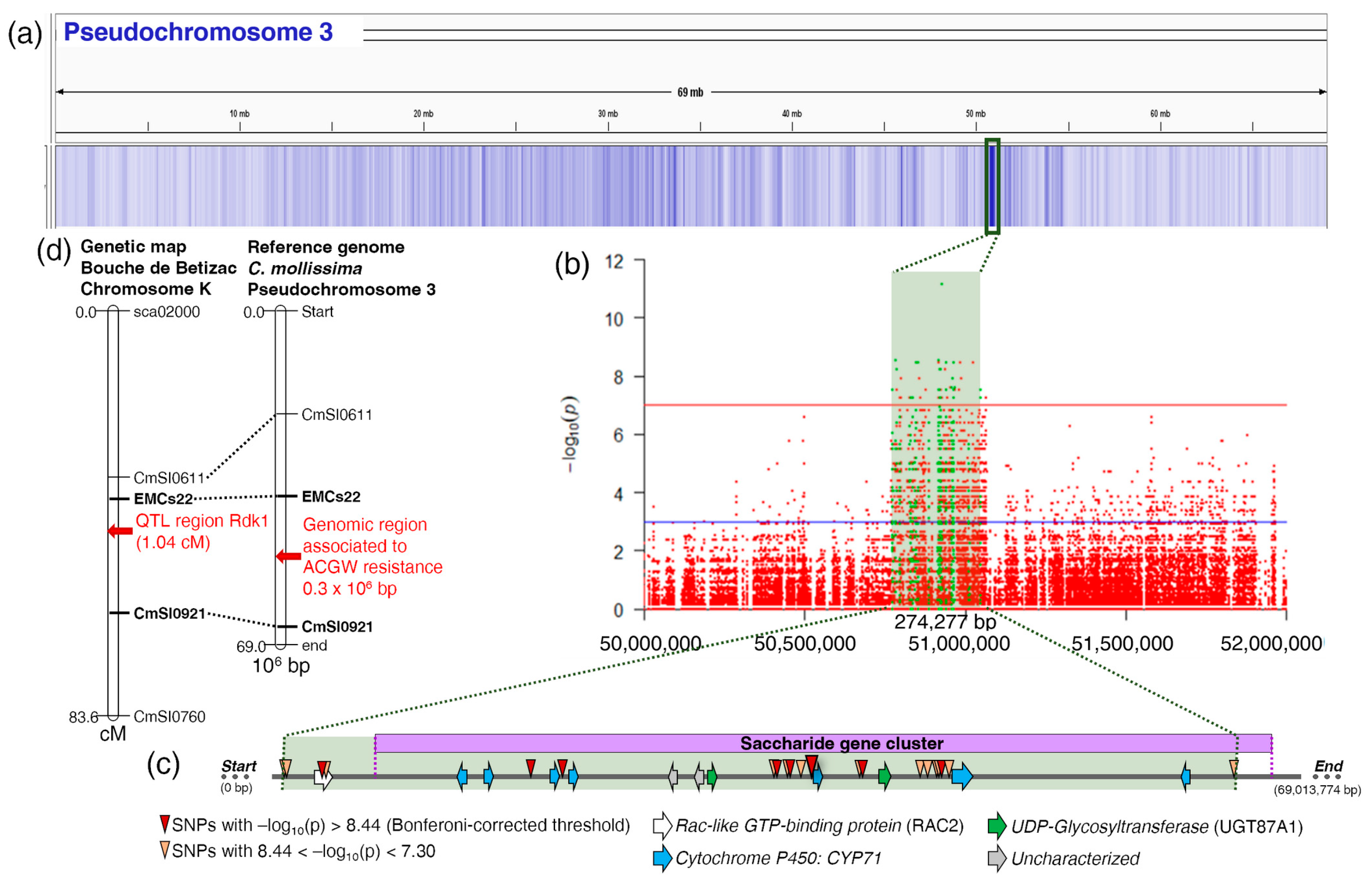 Plants 13 01355 g005