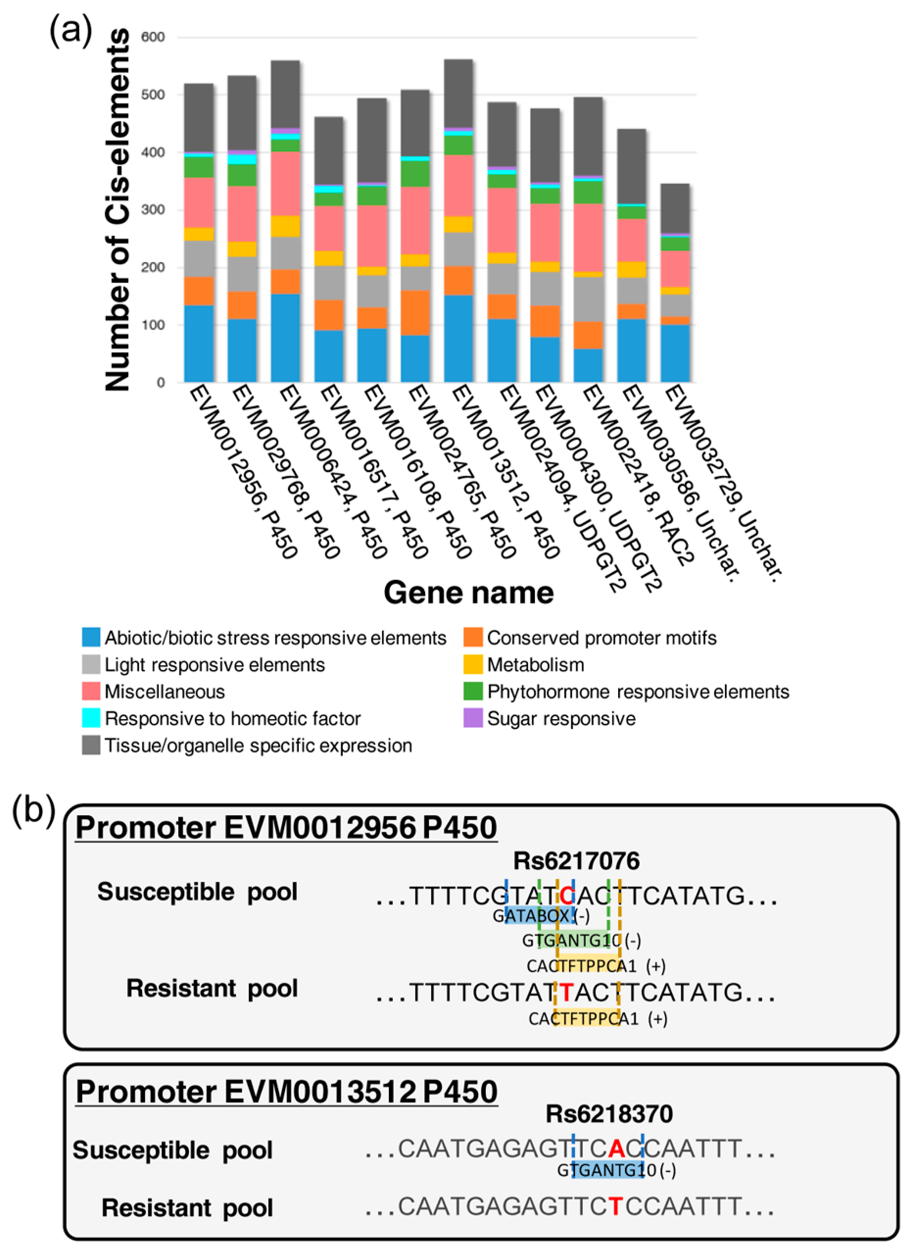 Plants 13 01355 g006
