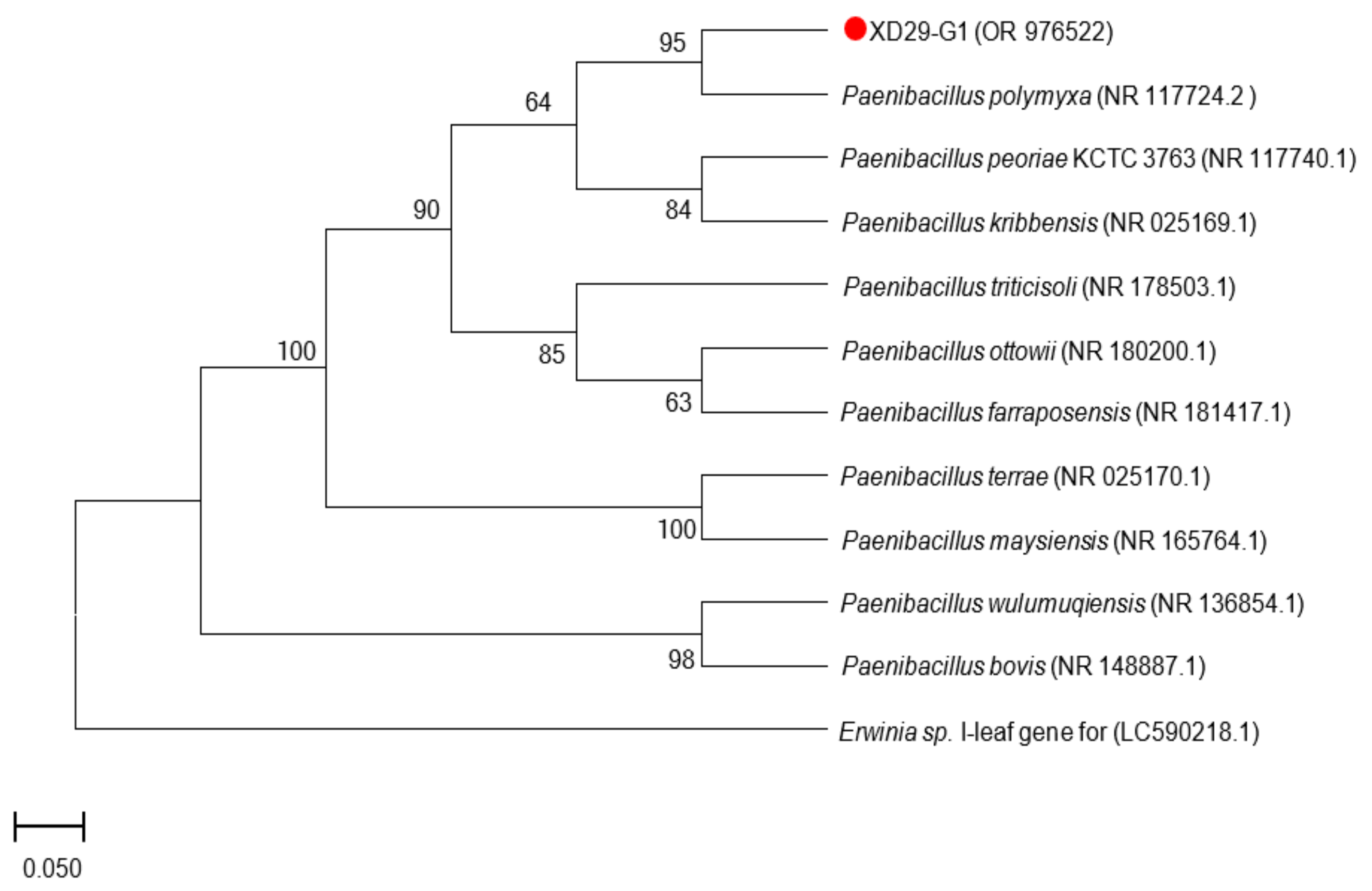 Plants 13 01366 g007