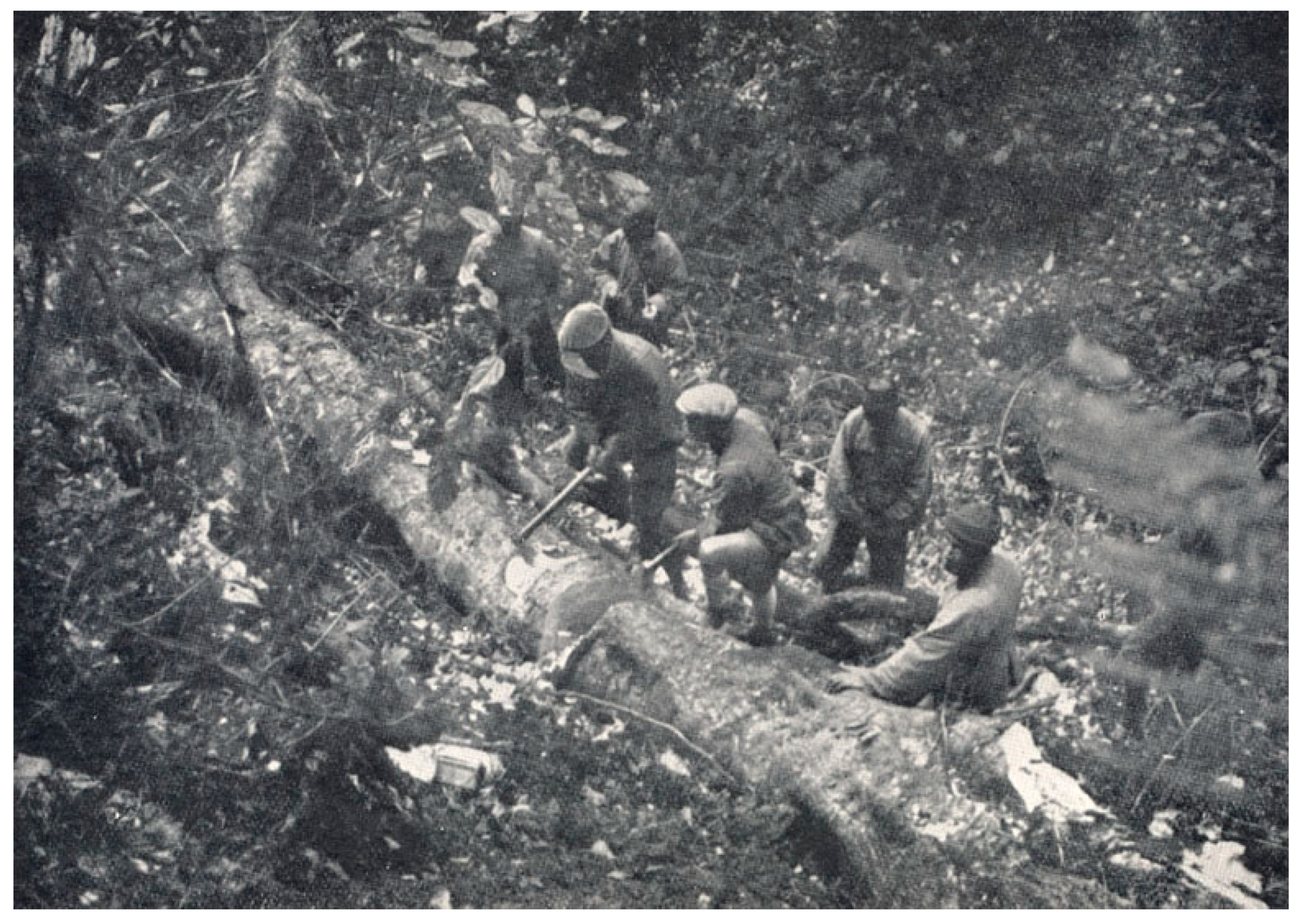 Plants 13 01367 g003