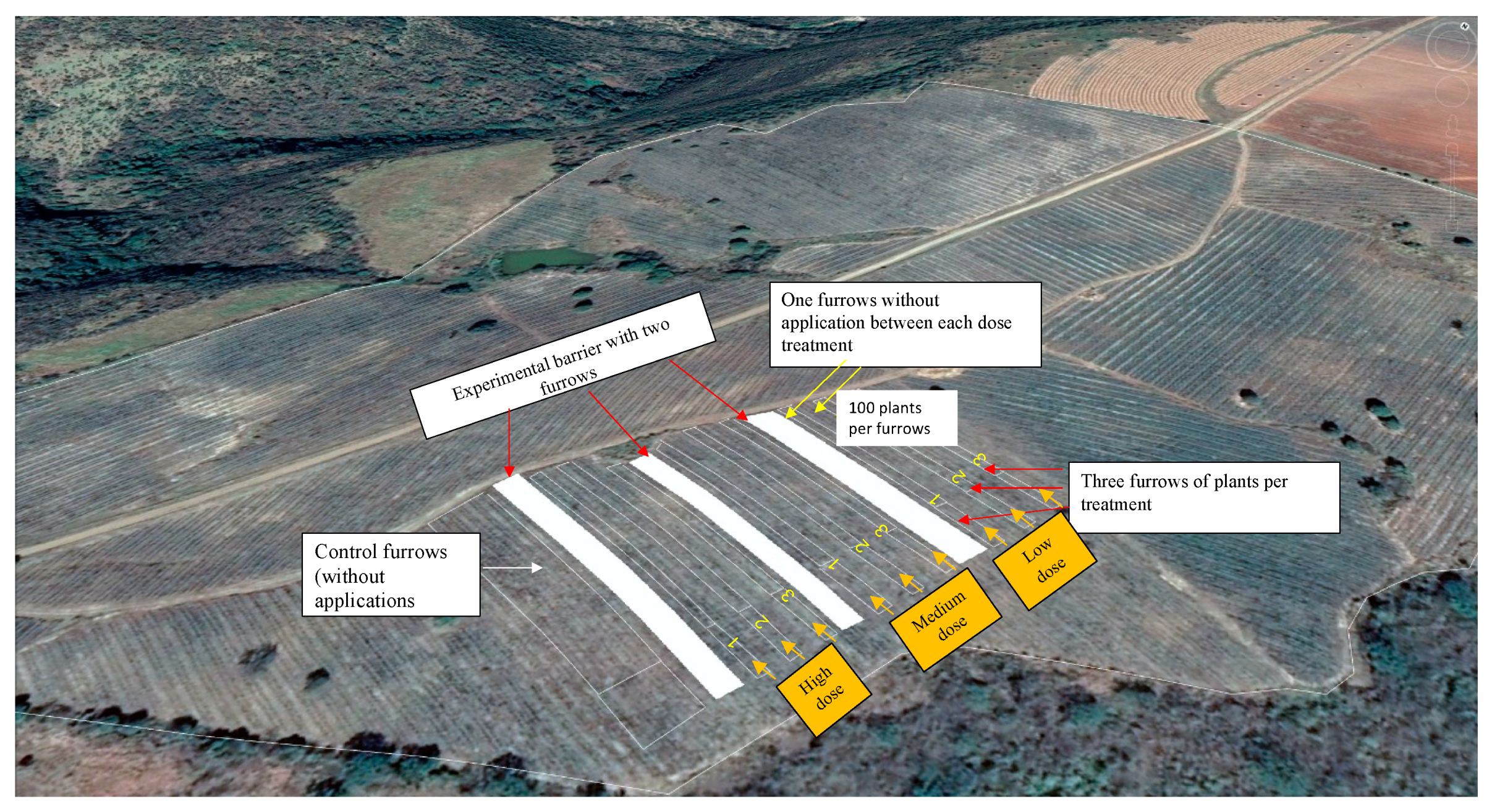 Plants 13 01371 g005