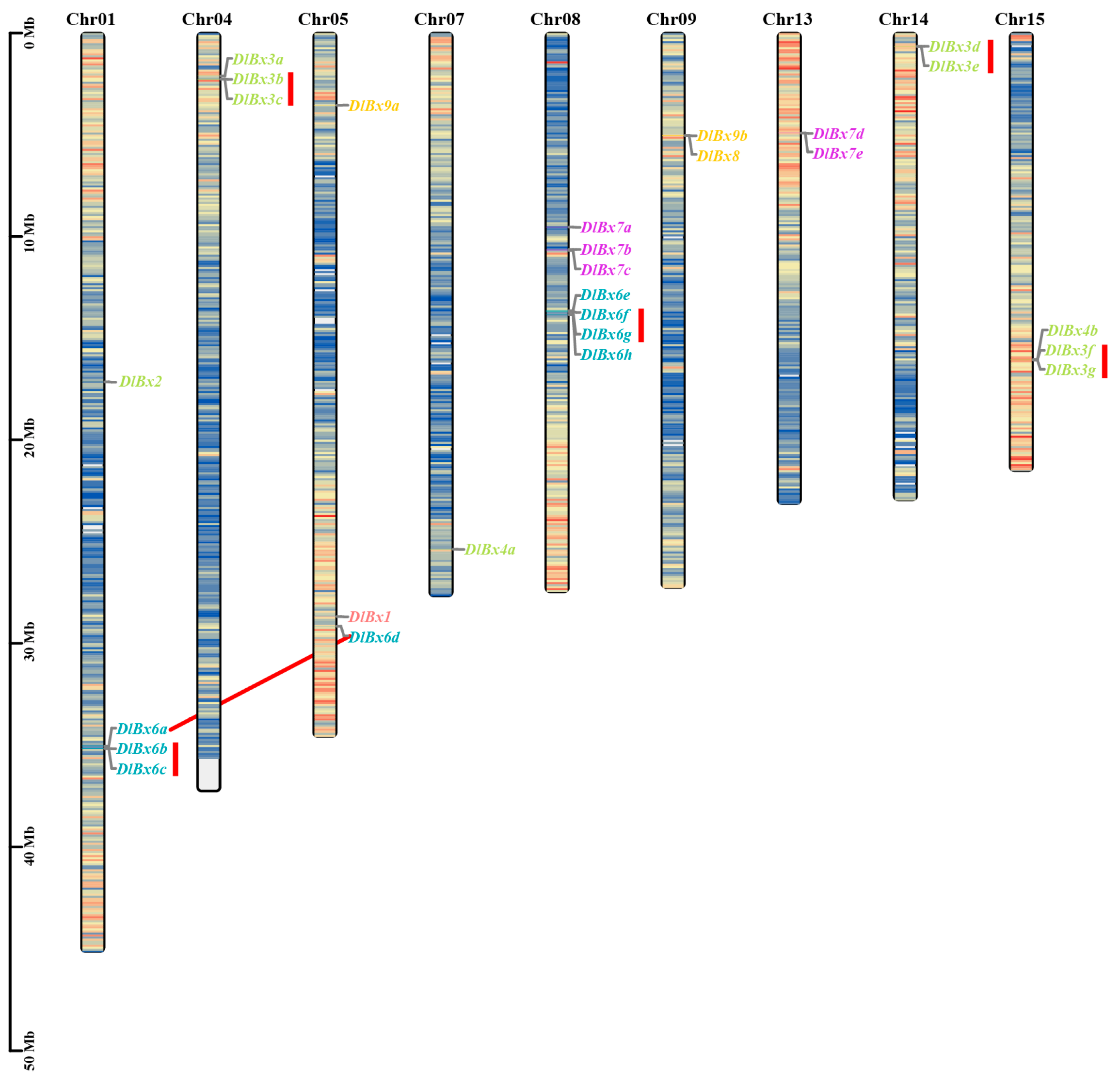 Plants 13 01373 g003