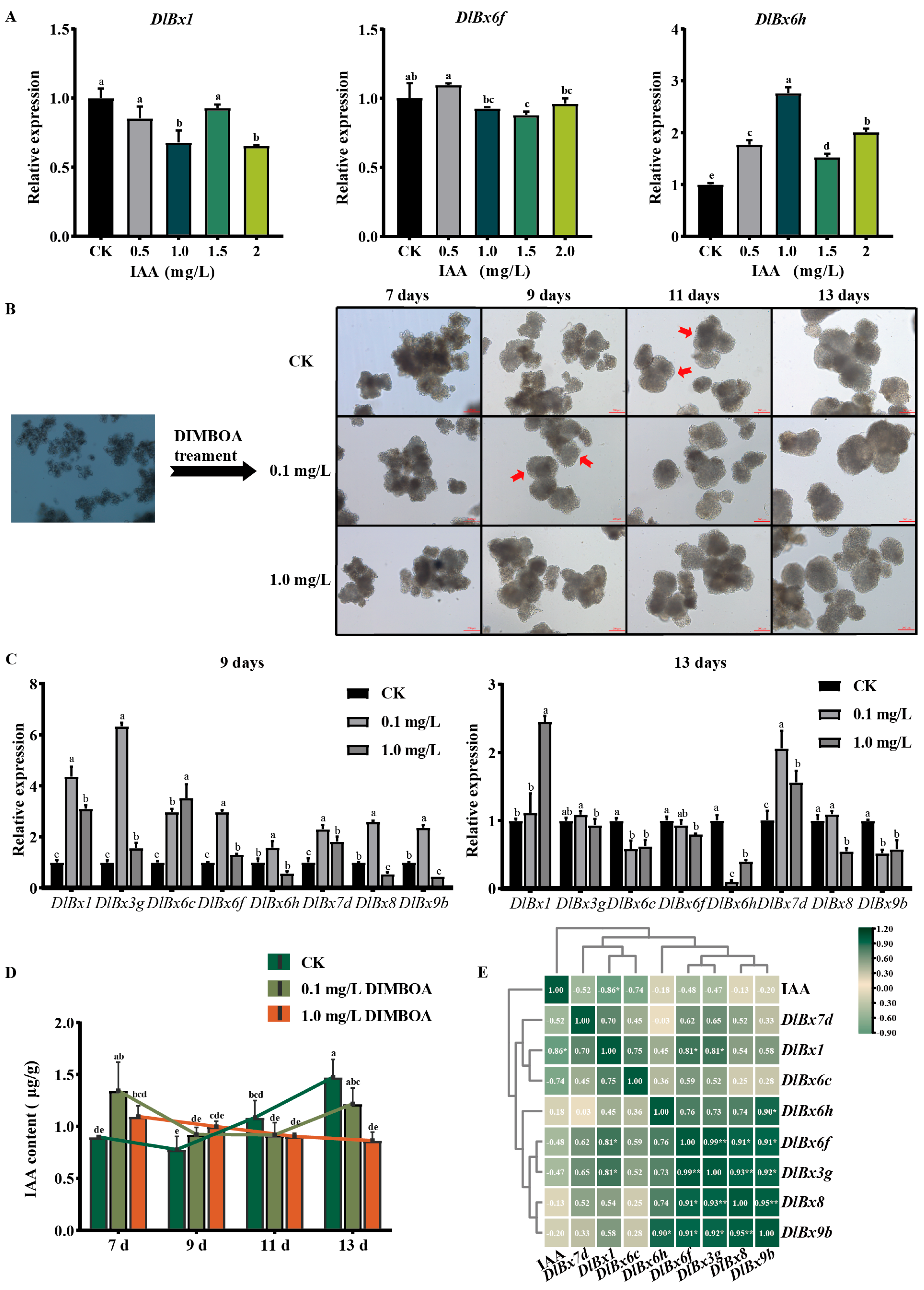 Plants 13 01373 g007