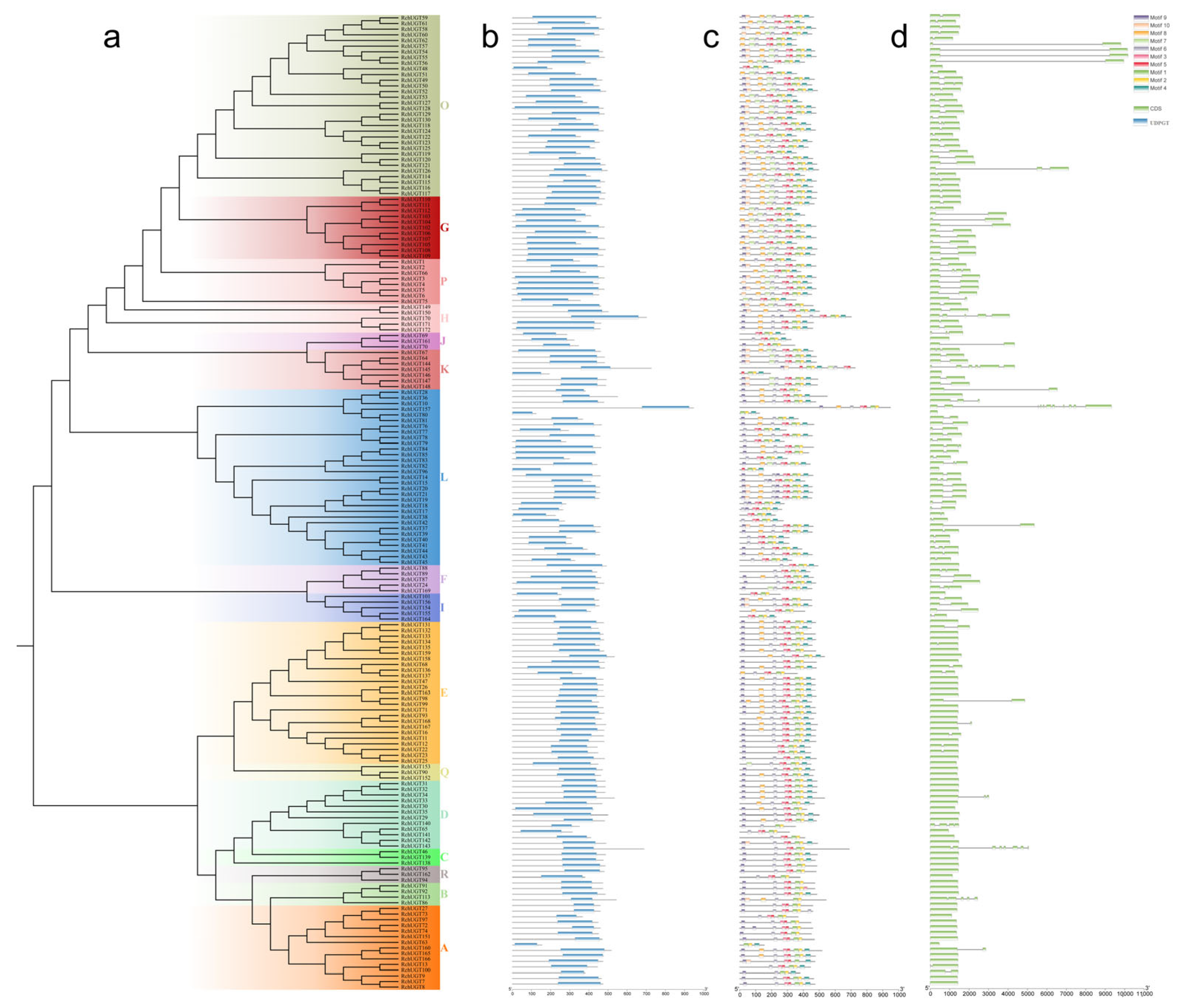 Plants 13 01390 g002