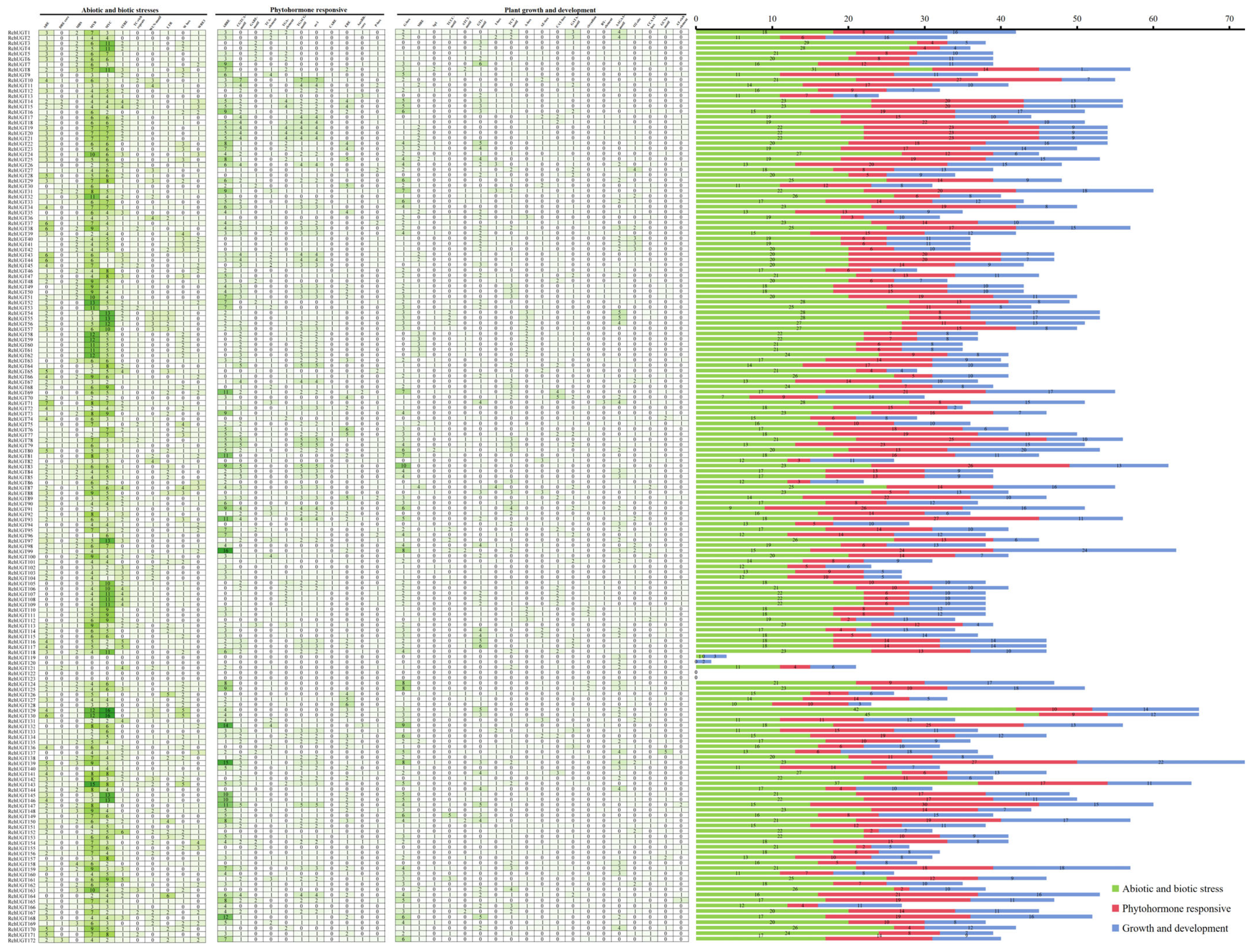 Plants 13 01390 g004