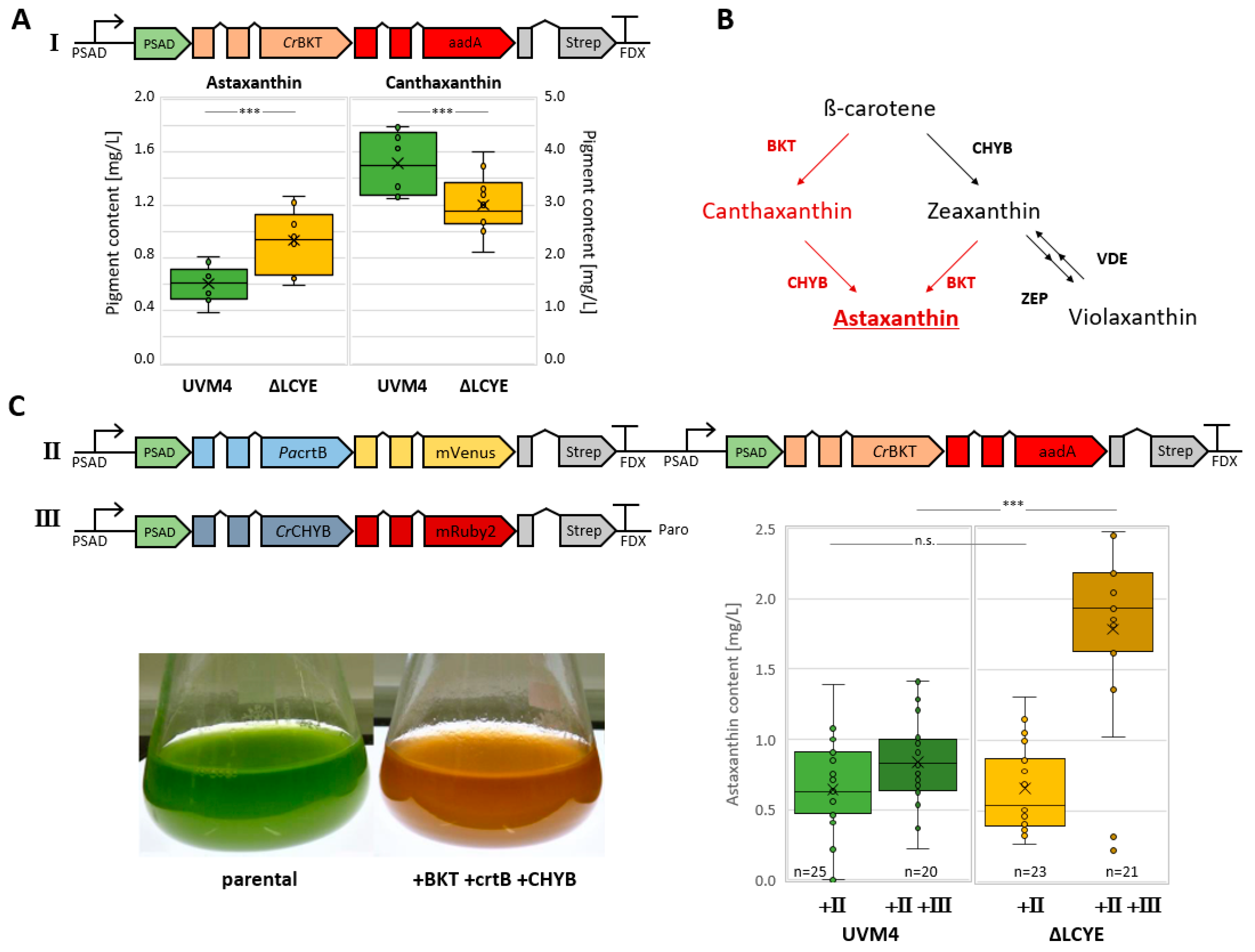 Plants 13 01393 g003