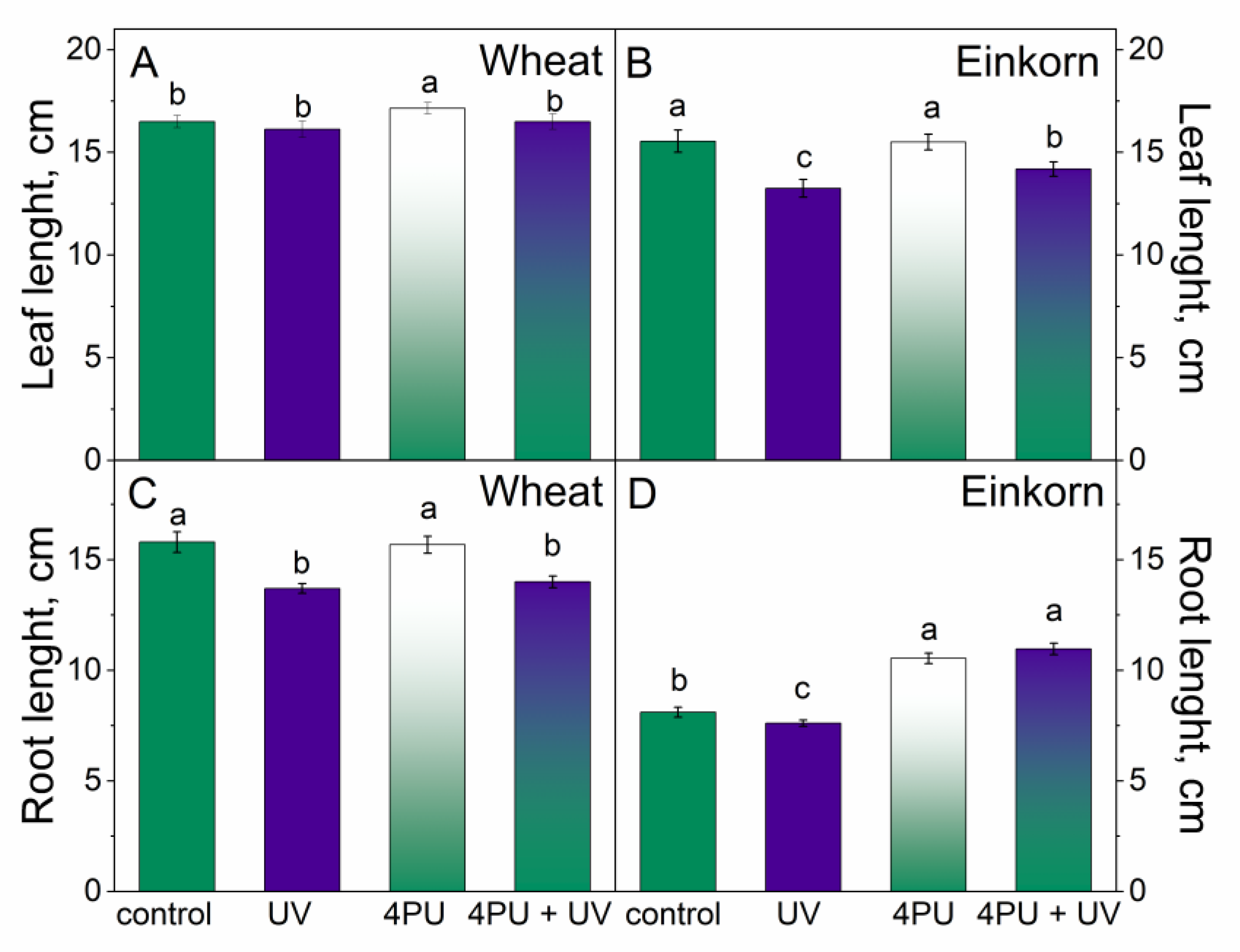 Plants 13 01401 g001 Plants 13 01401 g001