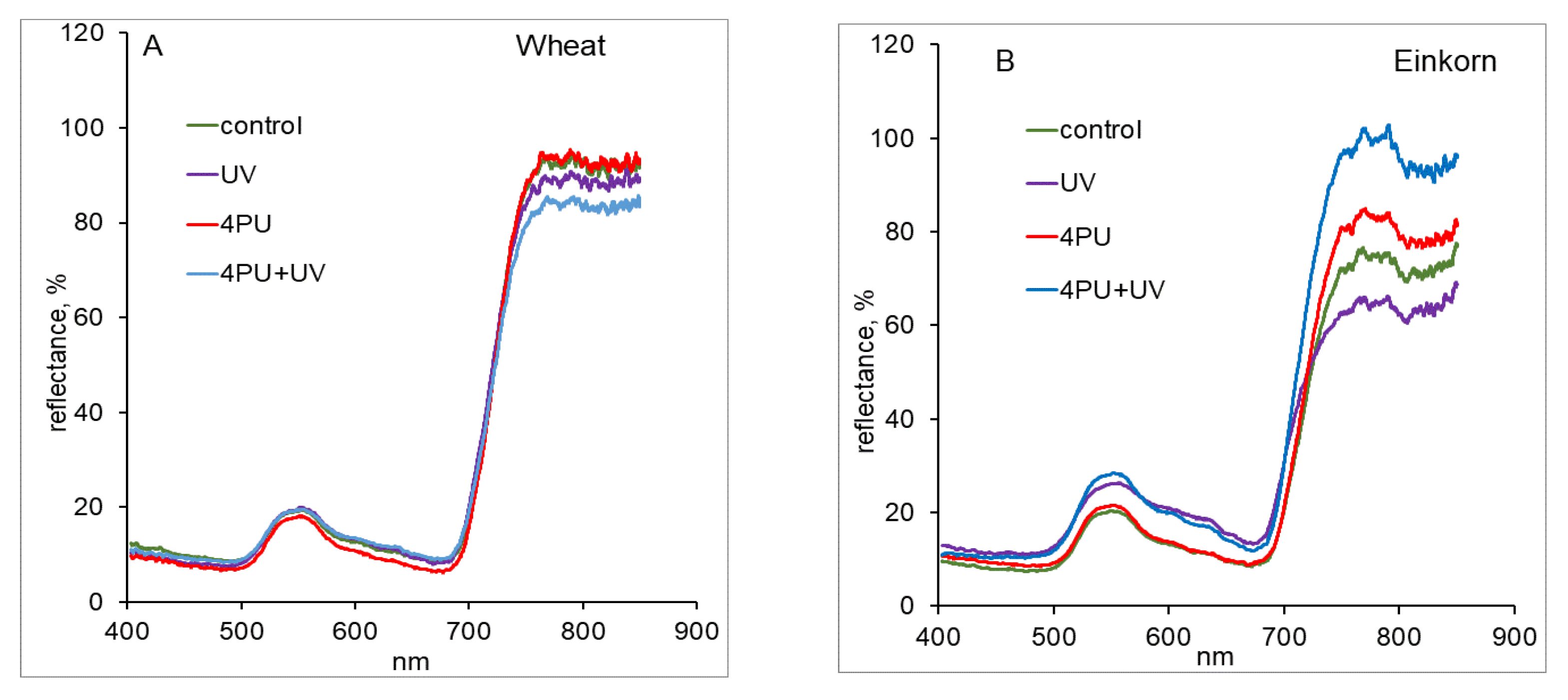 Plants 13 01401 g002 Plants 13 01401 g002