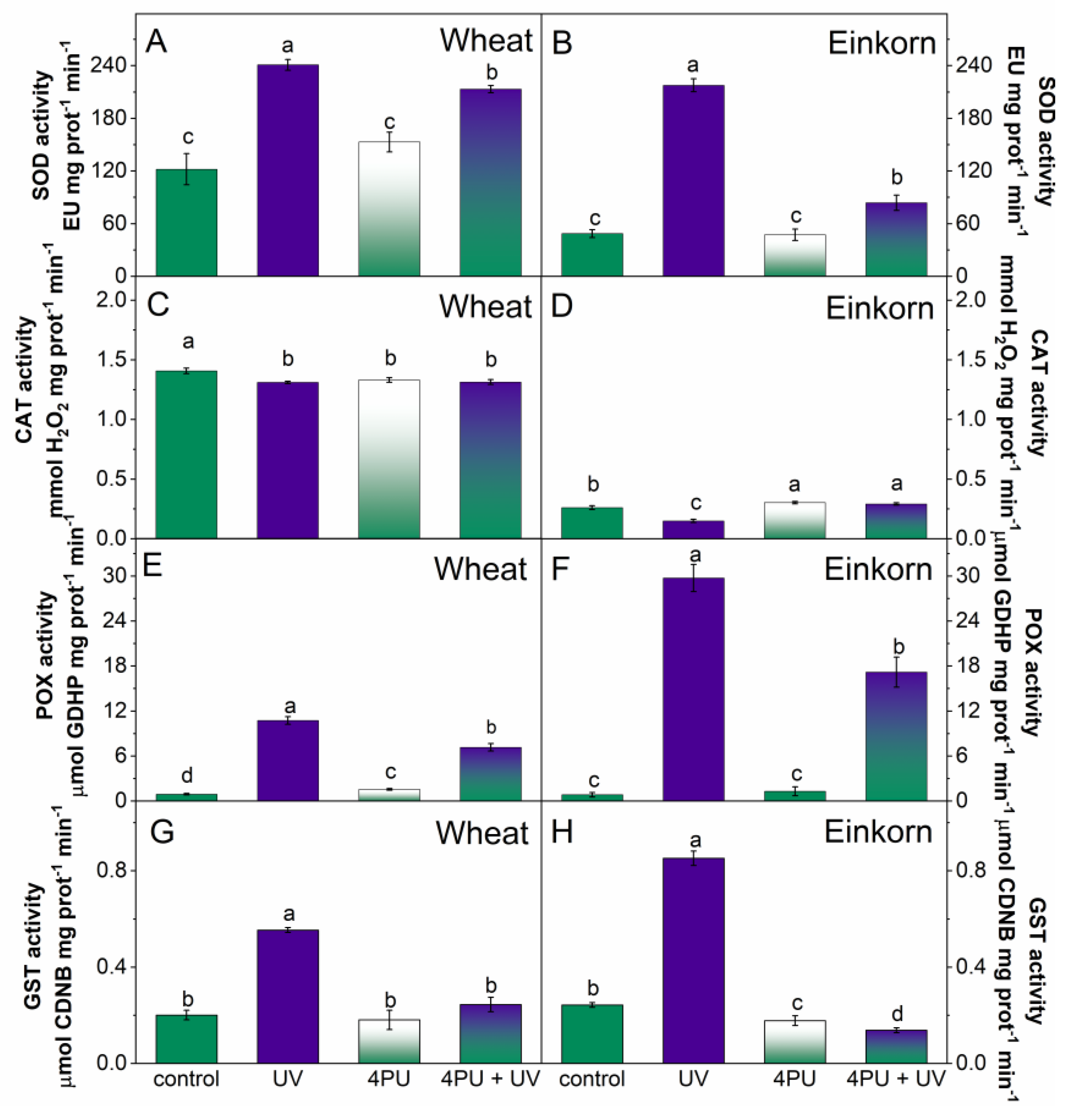 Plants 13 01401 g006 Plants 13 01401 g006