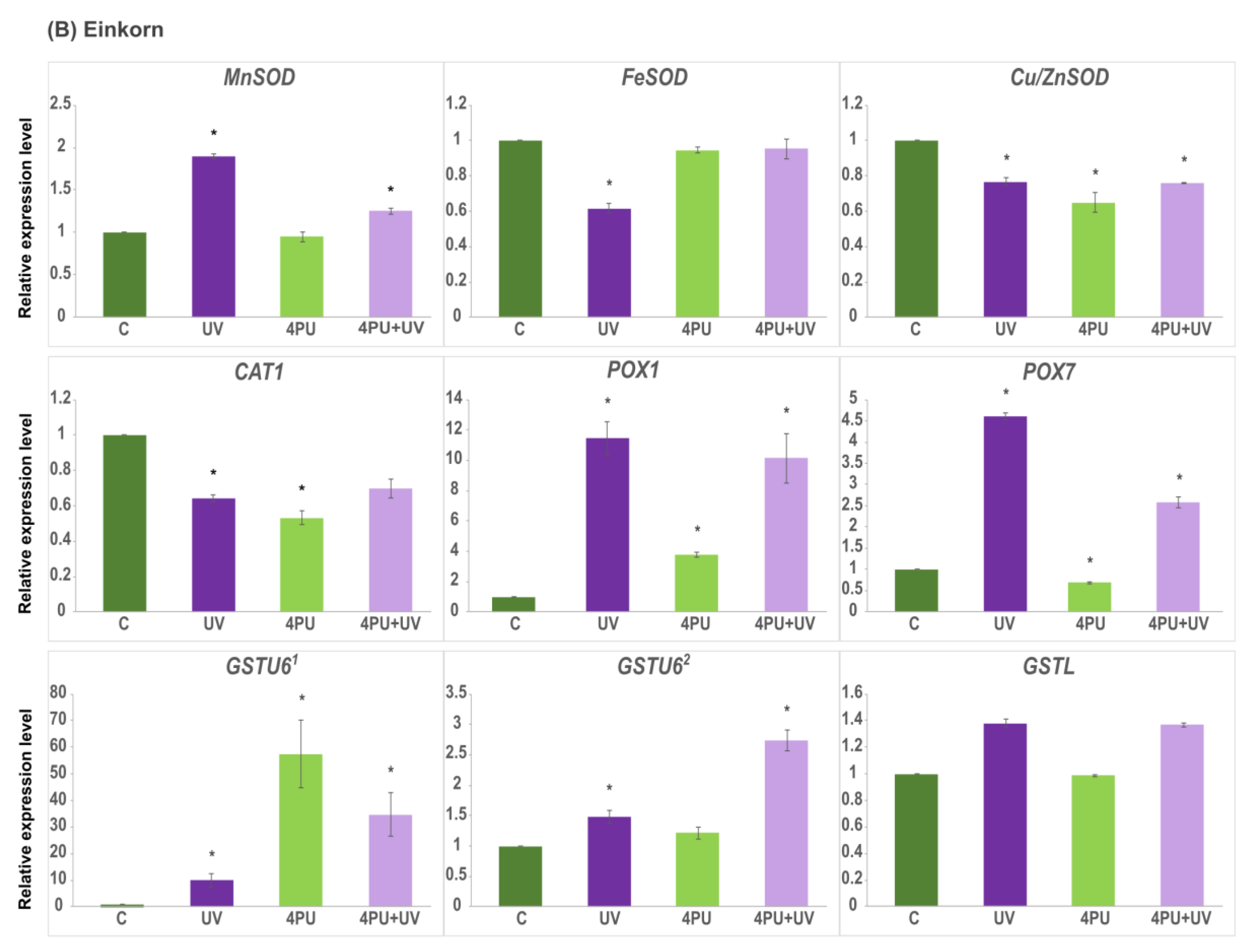 Plants 13 01401 g007b Plants 13 01401 g007b