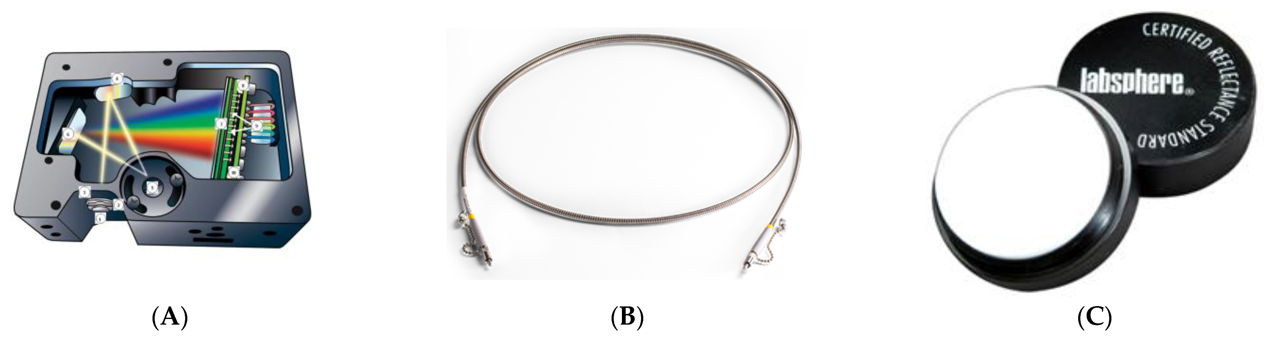 Plants 13 01401 g008 Plants 13 01401 g008