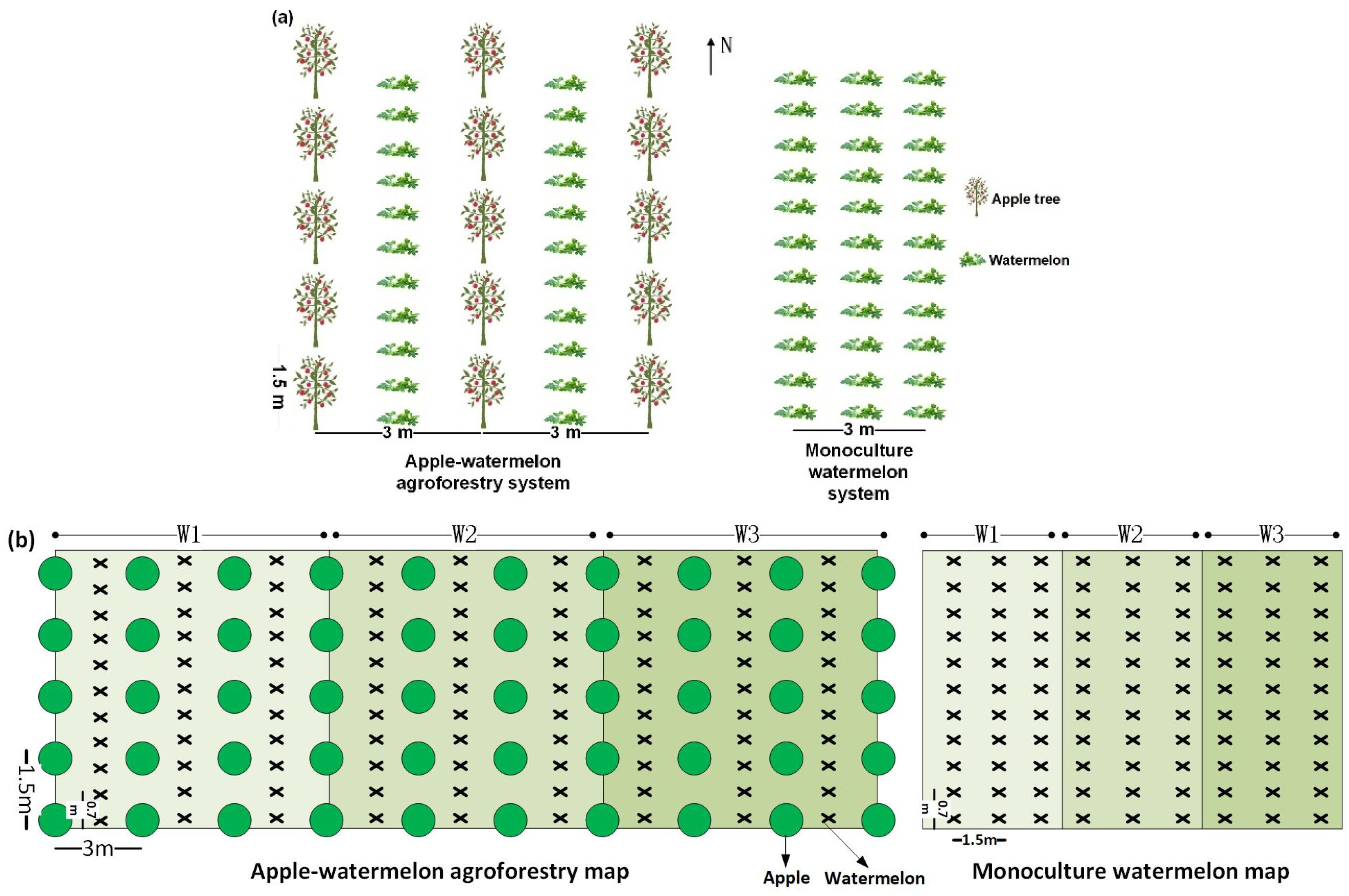 Plants 13 01402 g002