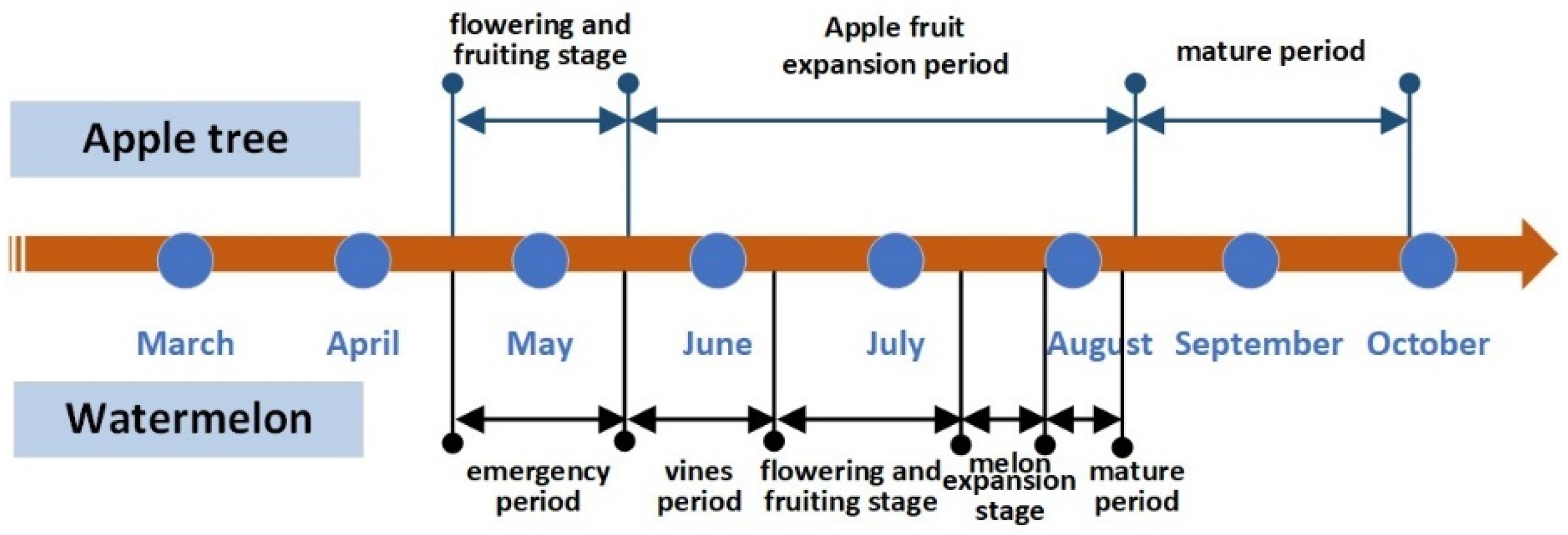 Plants 13 01402 g003