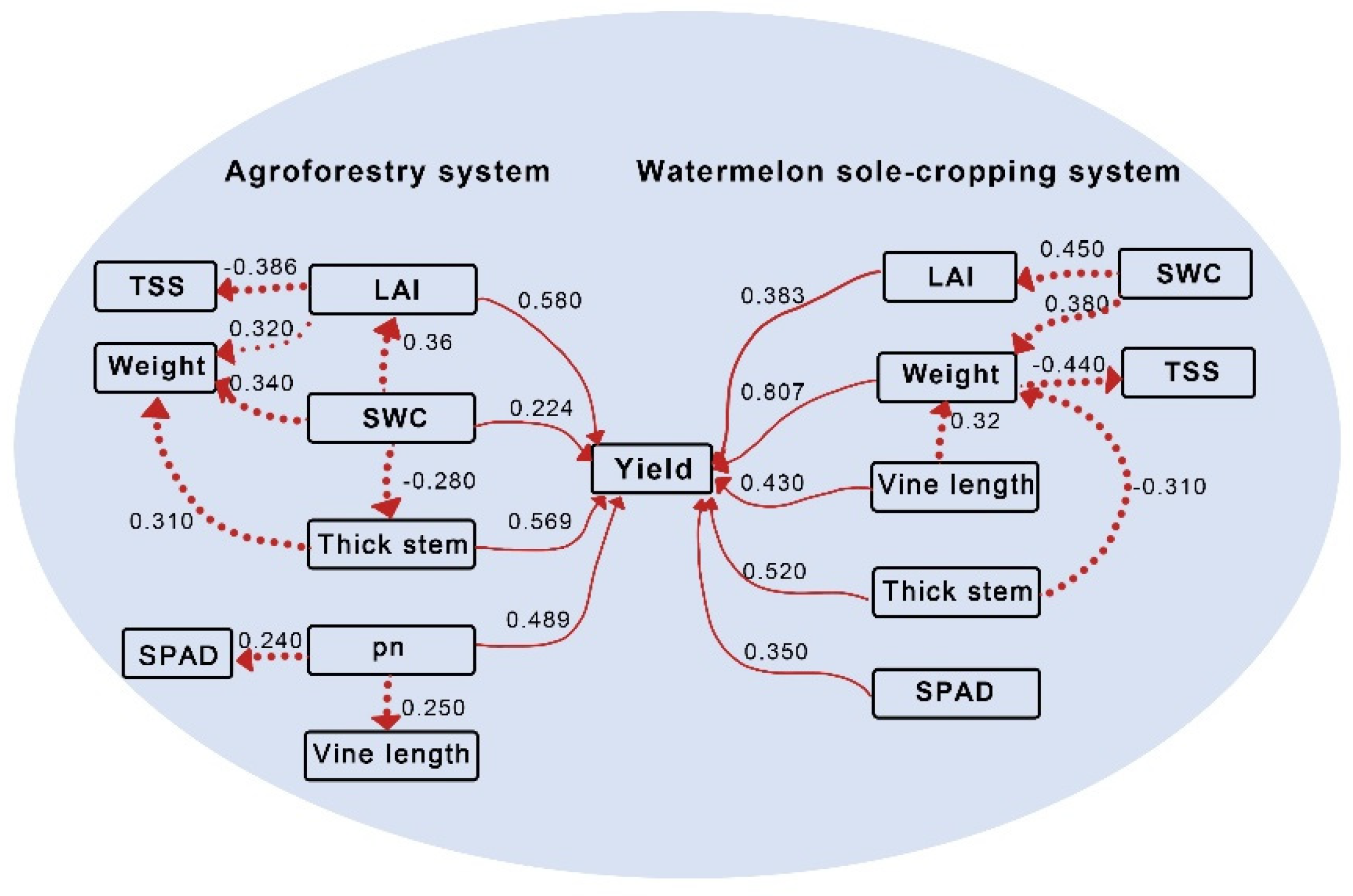 Plants 13 01402 g008