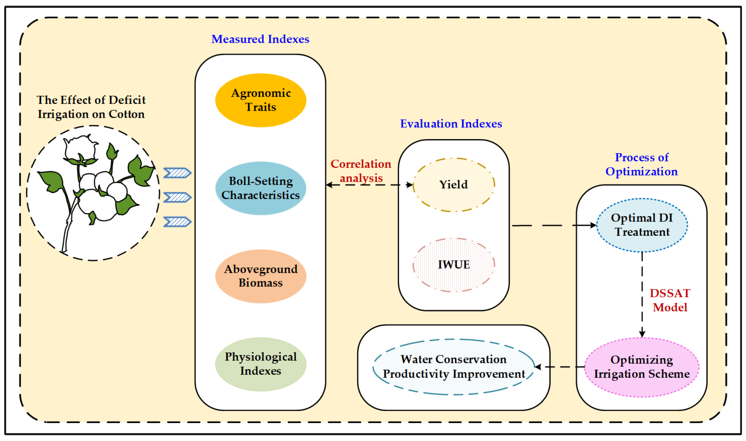 Plants 13 01403 g013