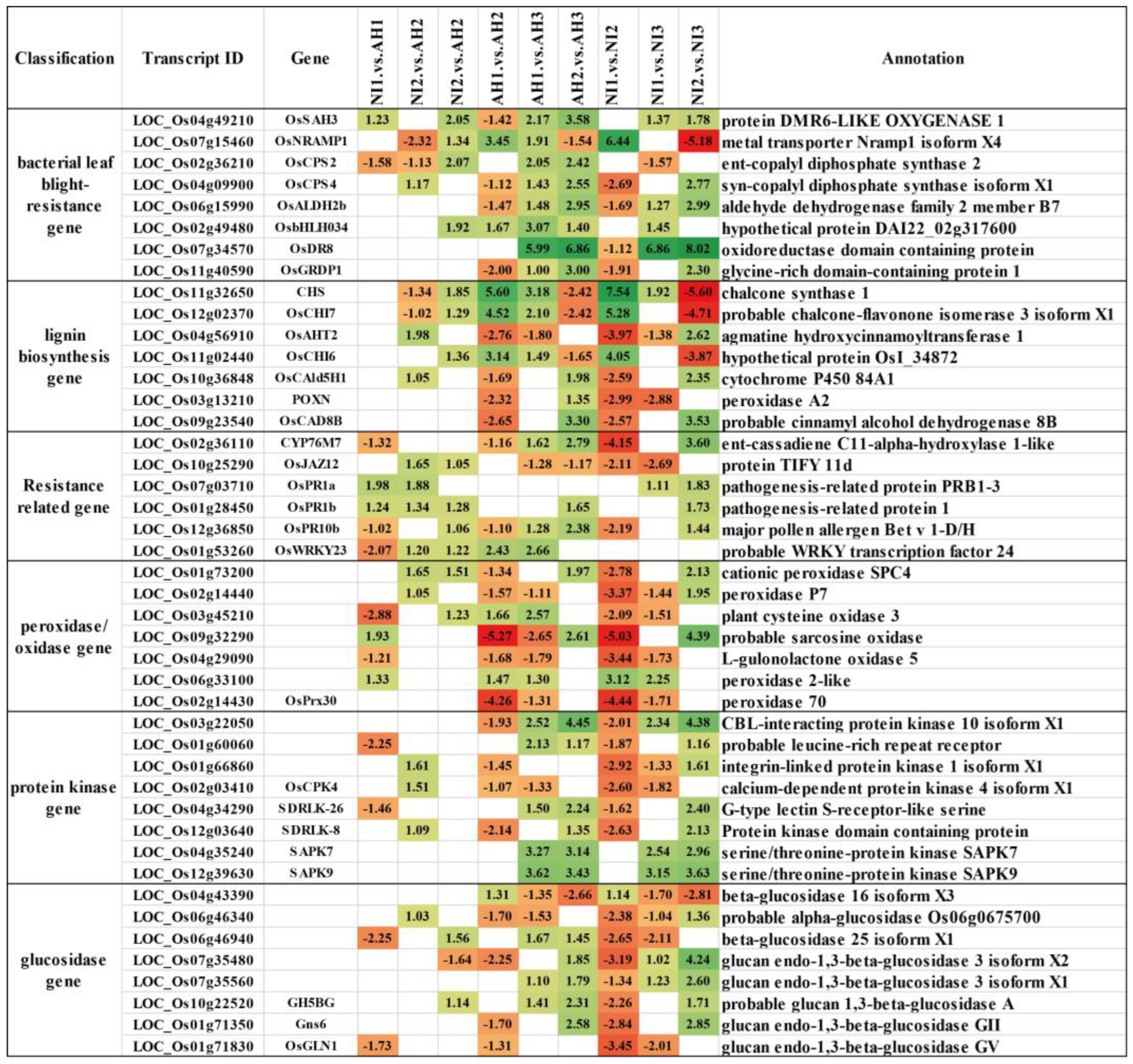 Plants 13 01411 g004