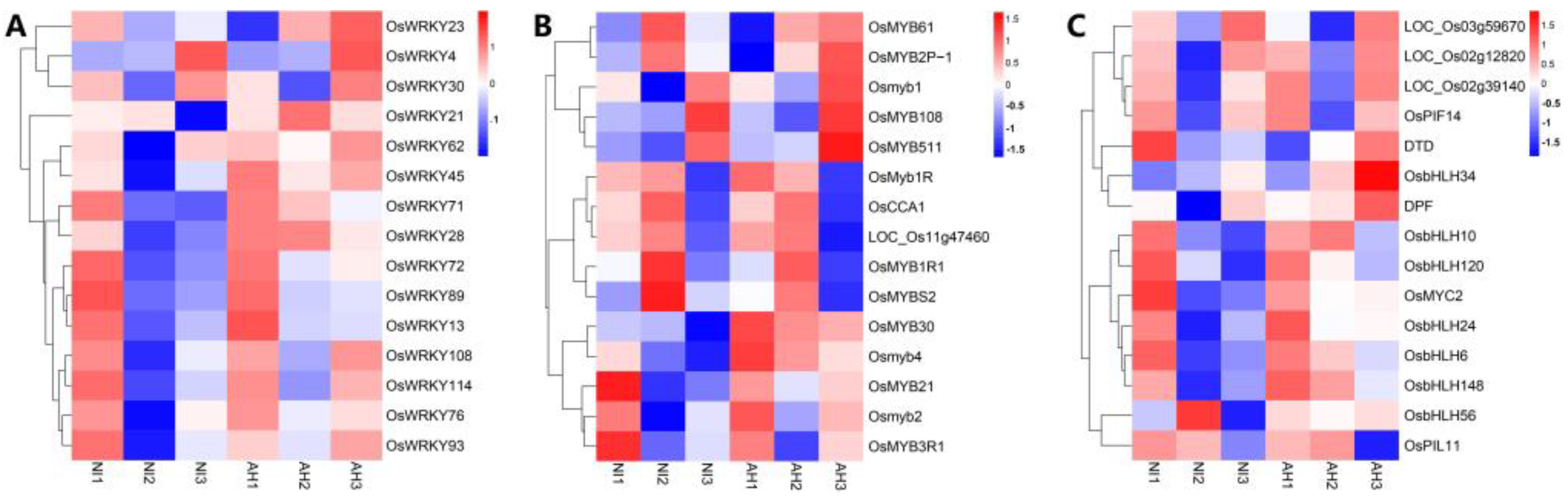 Plants 13 01411 g006