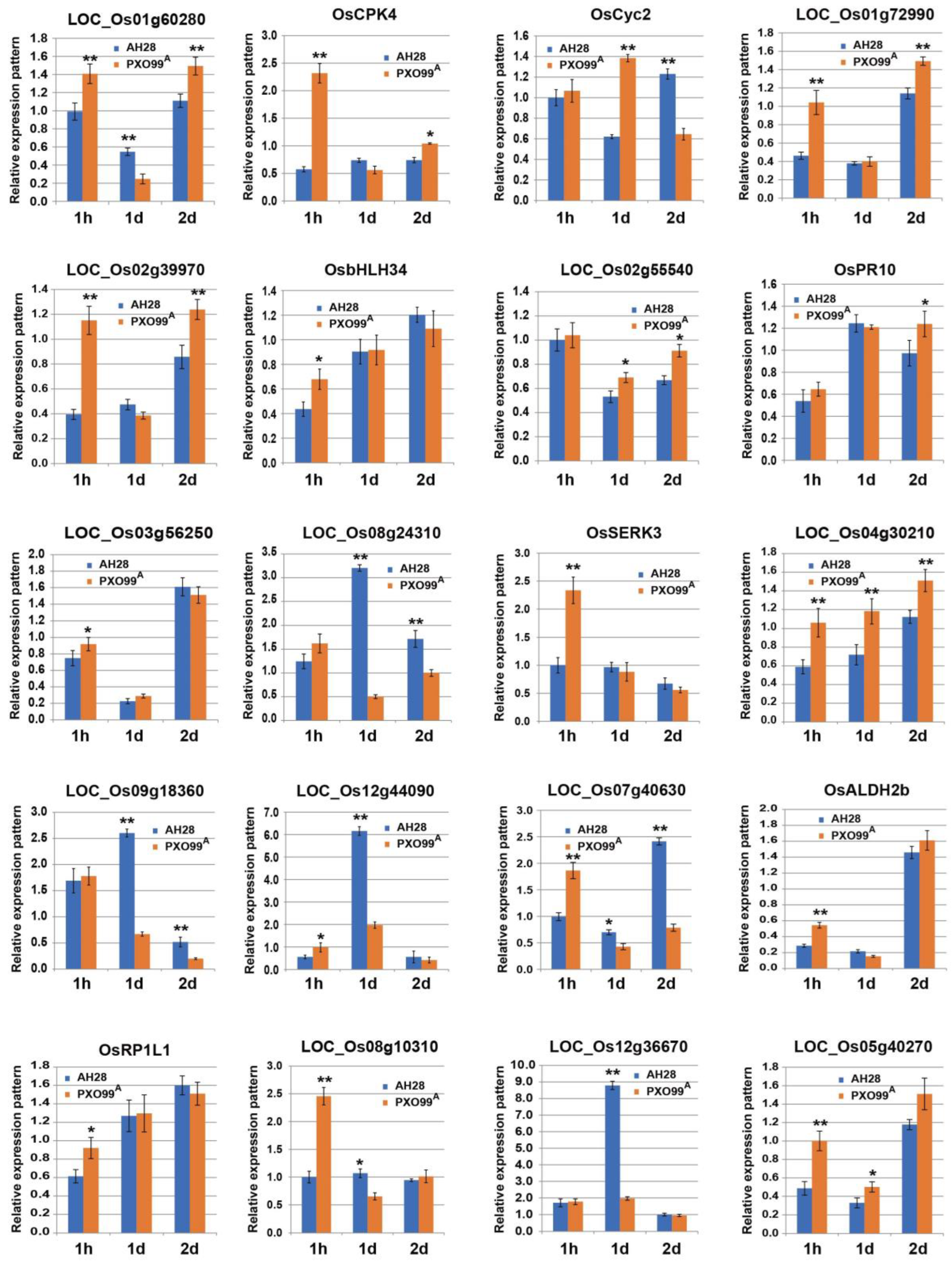 Plants 13 01411 g007