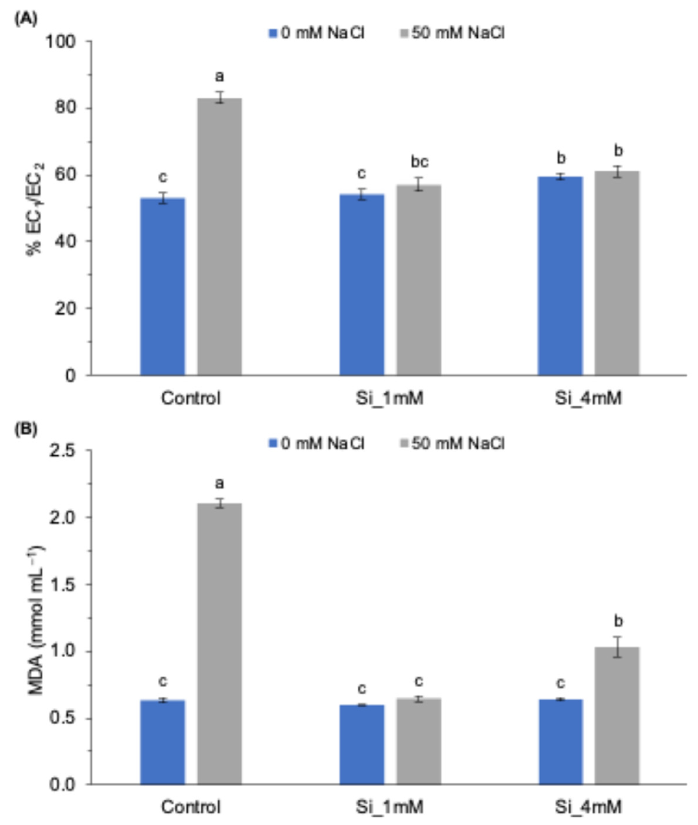Plants 13 01415 g001