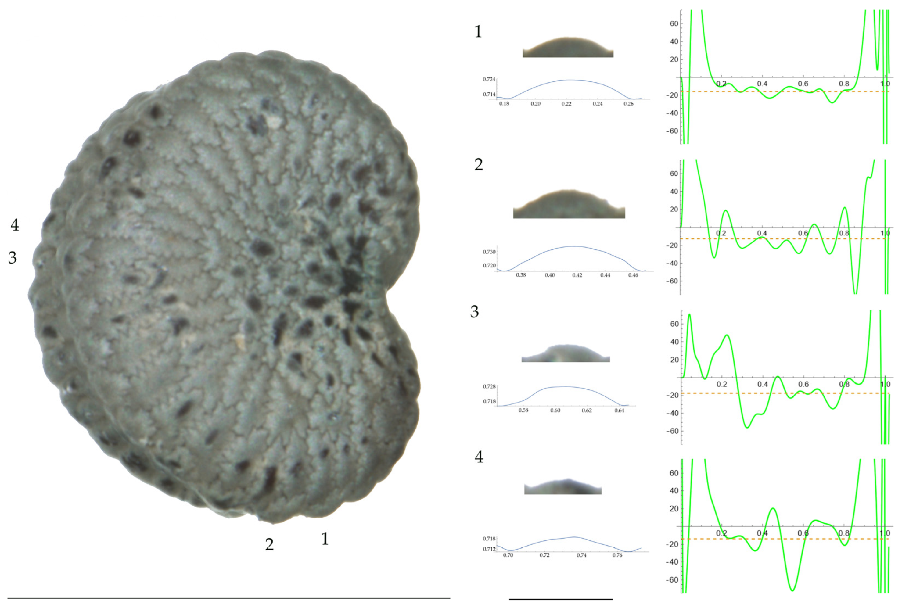 Plants 13 01416 g001