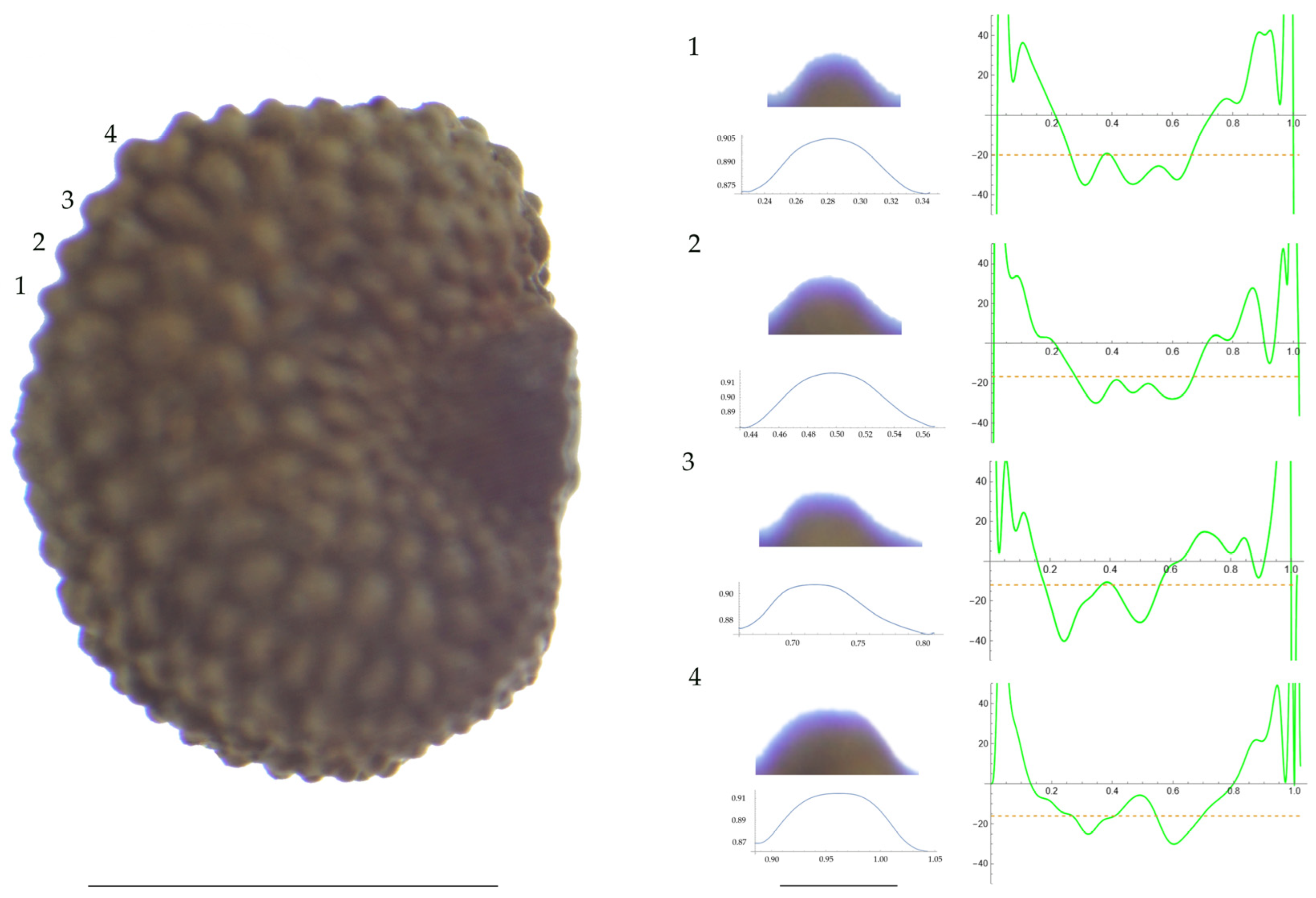 Plants 13 01416 g003