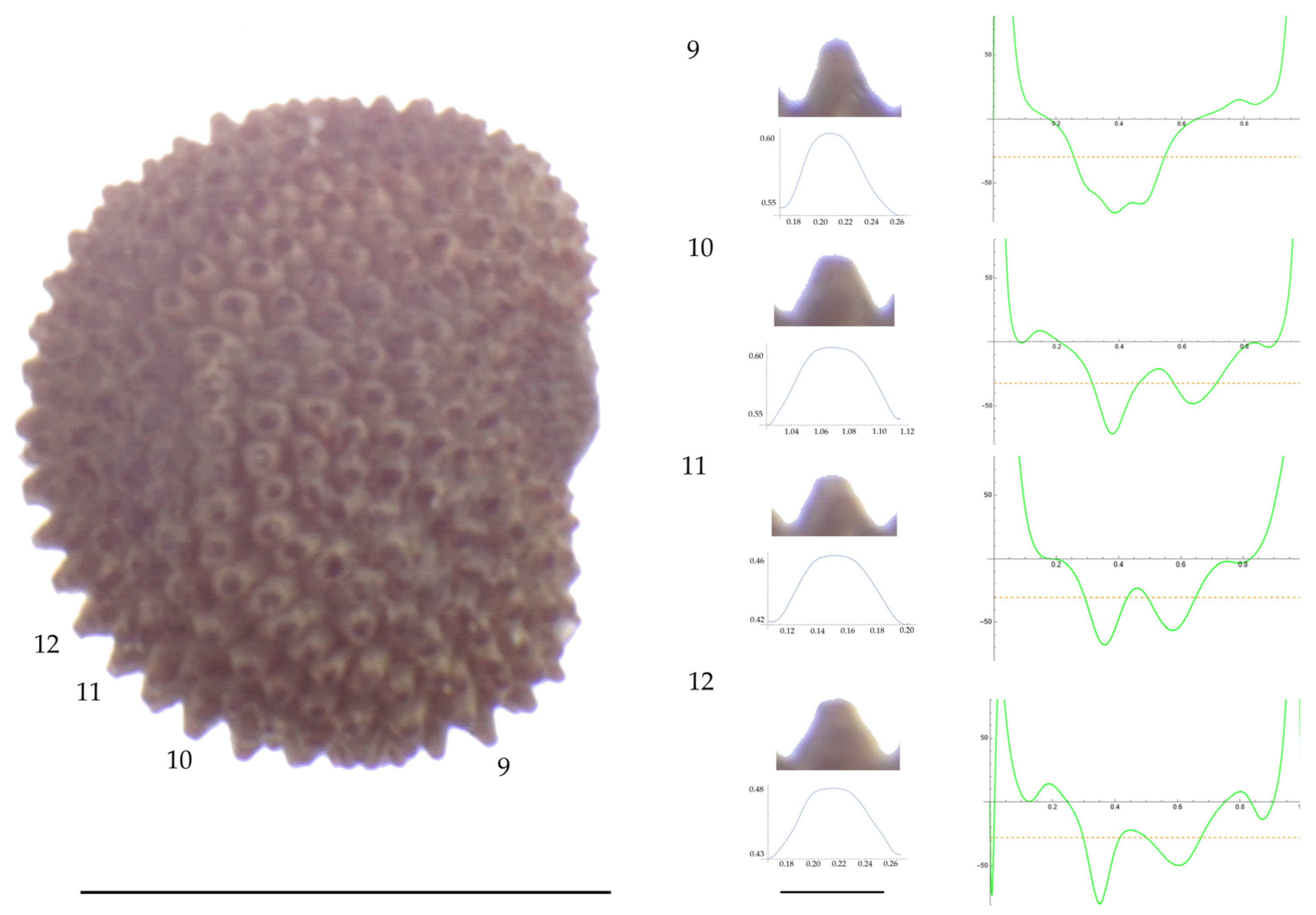 Plants 13 01416 g005