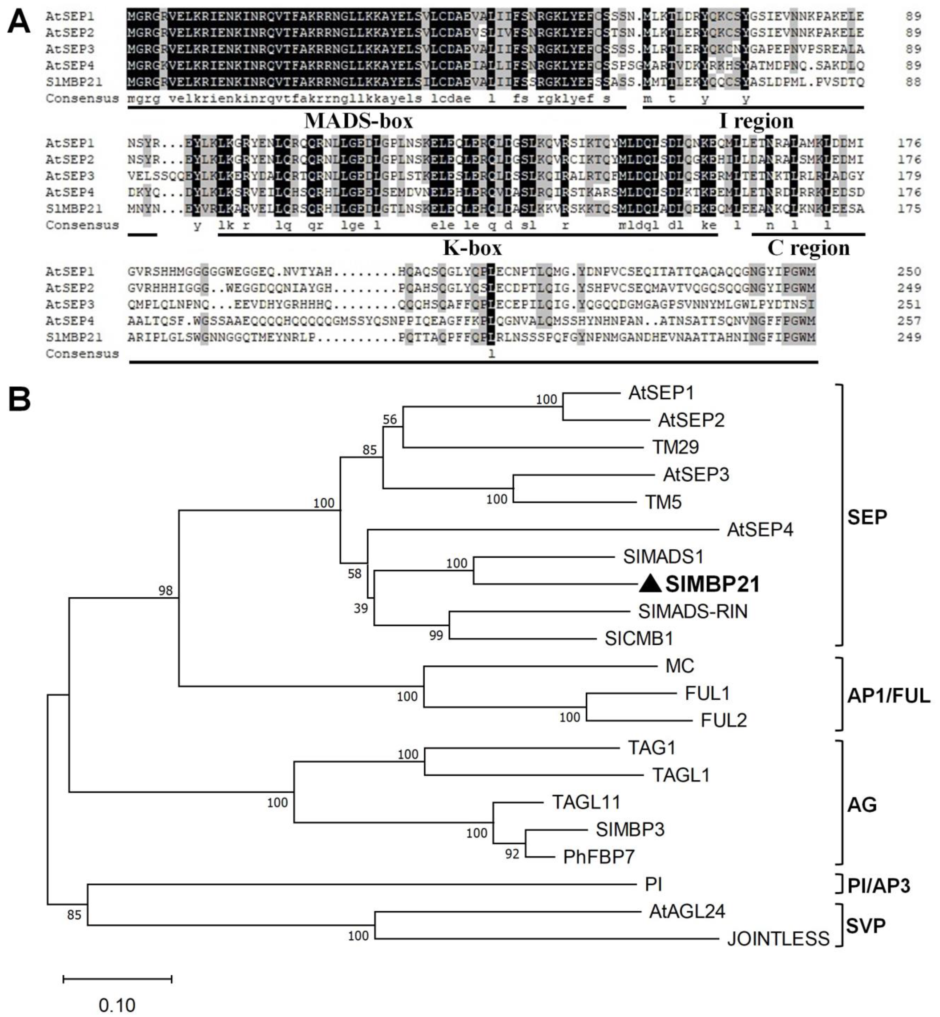 Plants 13 01421 g001