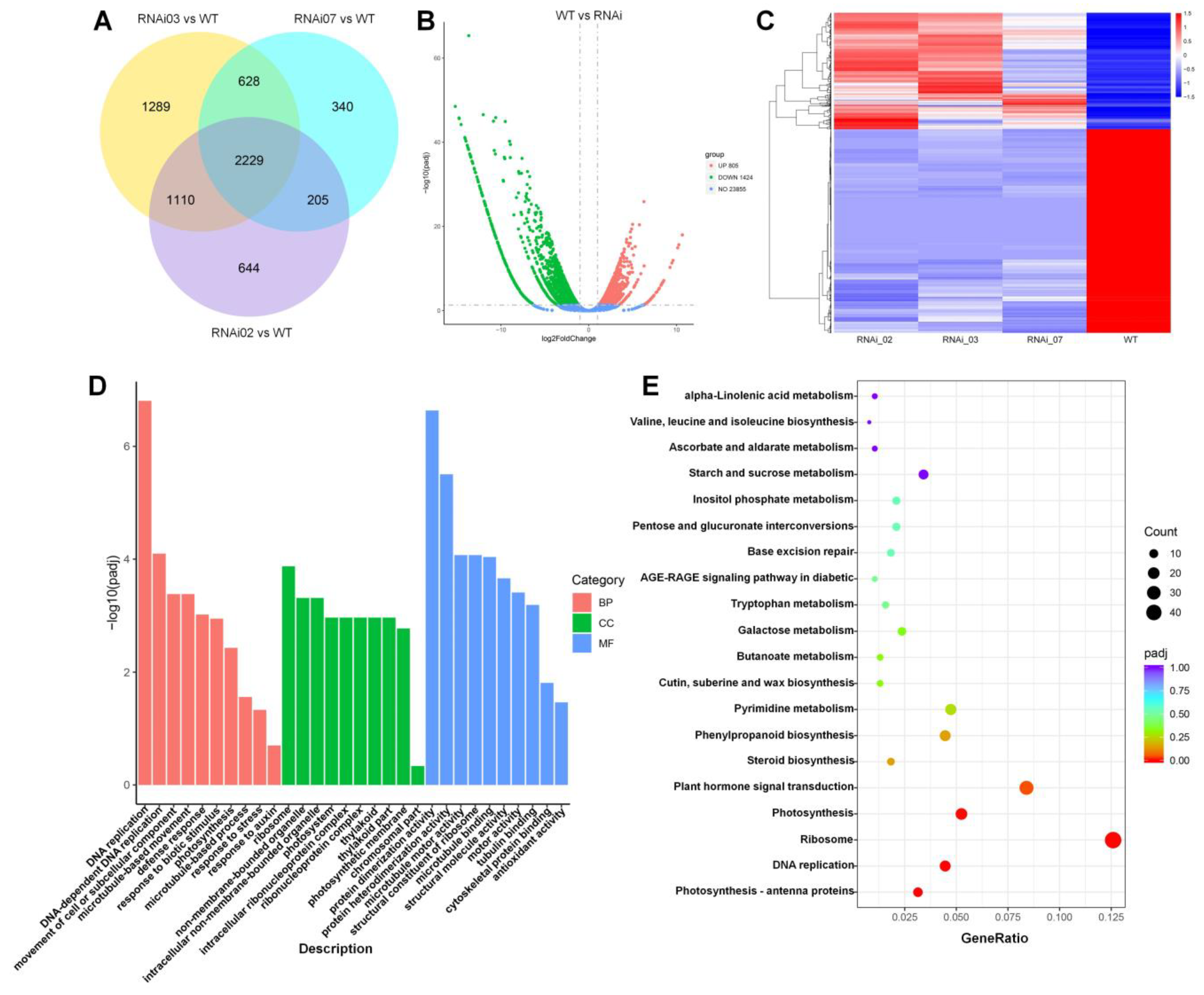 Plants 13 01421 g006