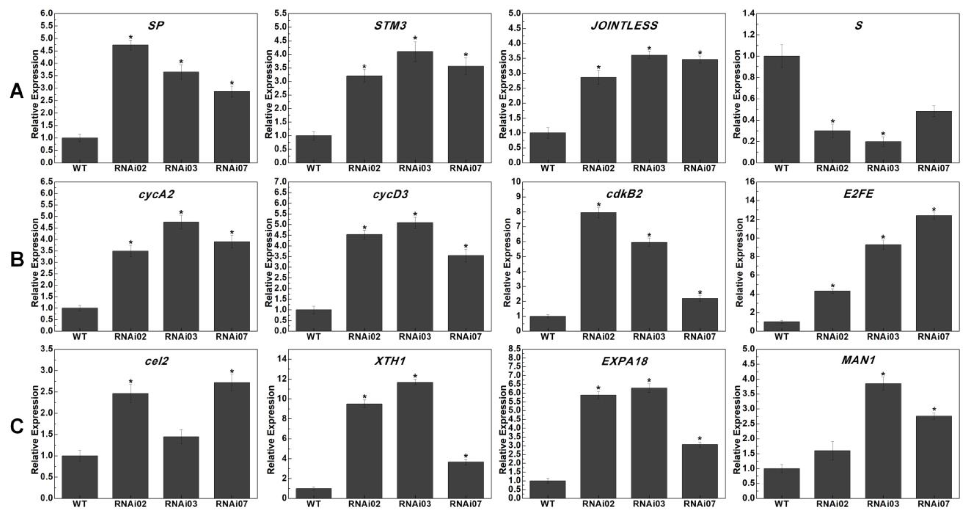 Plants 13 01421 g007