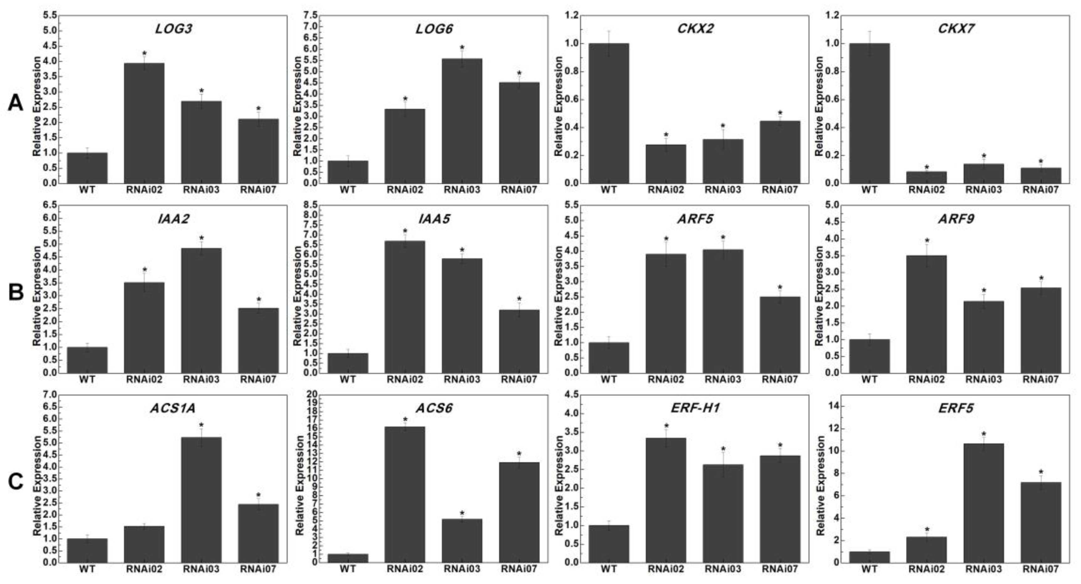 Plants 13 01421 g008