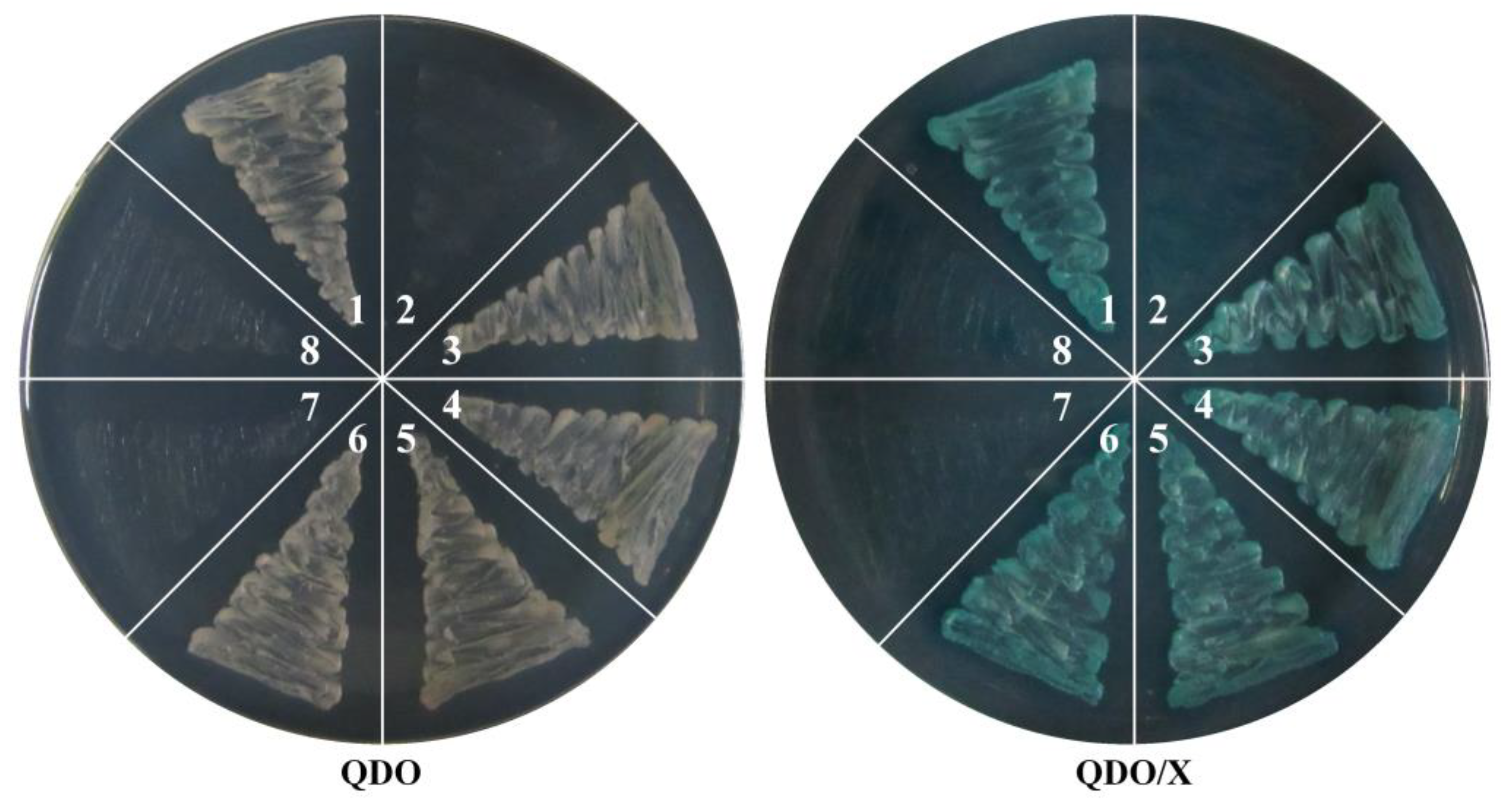 Plants 13 01421 g009