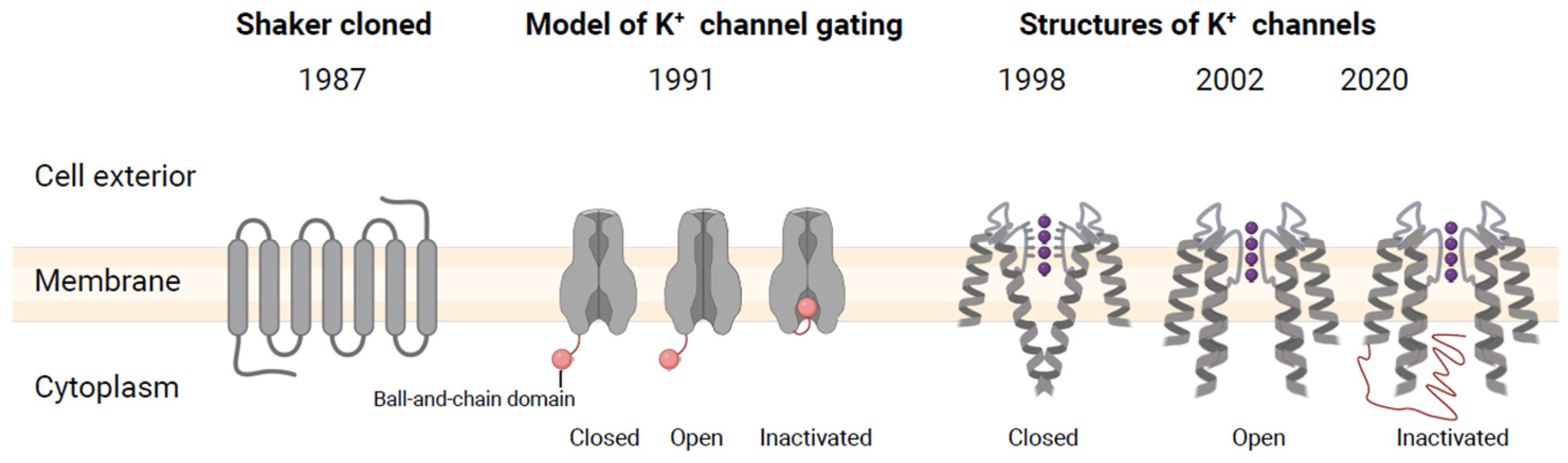 Plants 13 01423 g001 Plants 13 01423 g001
