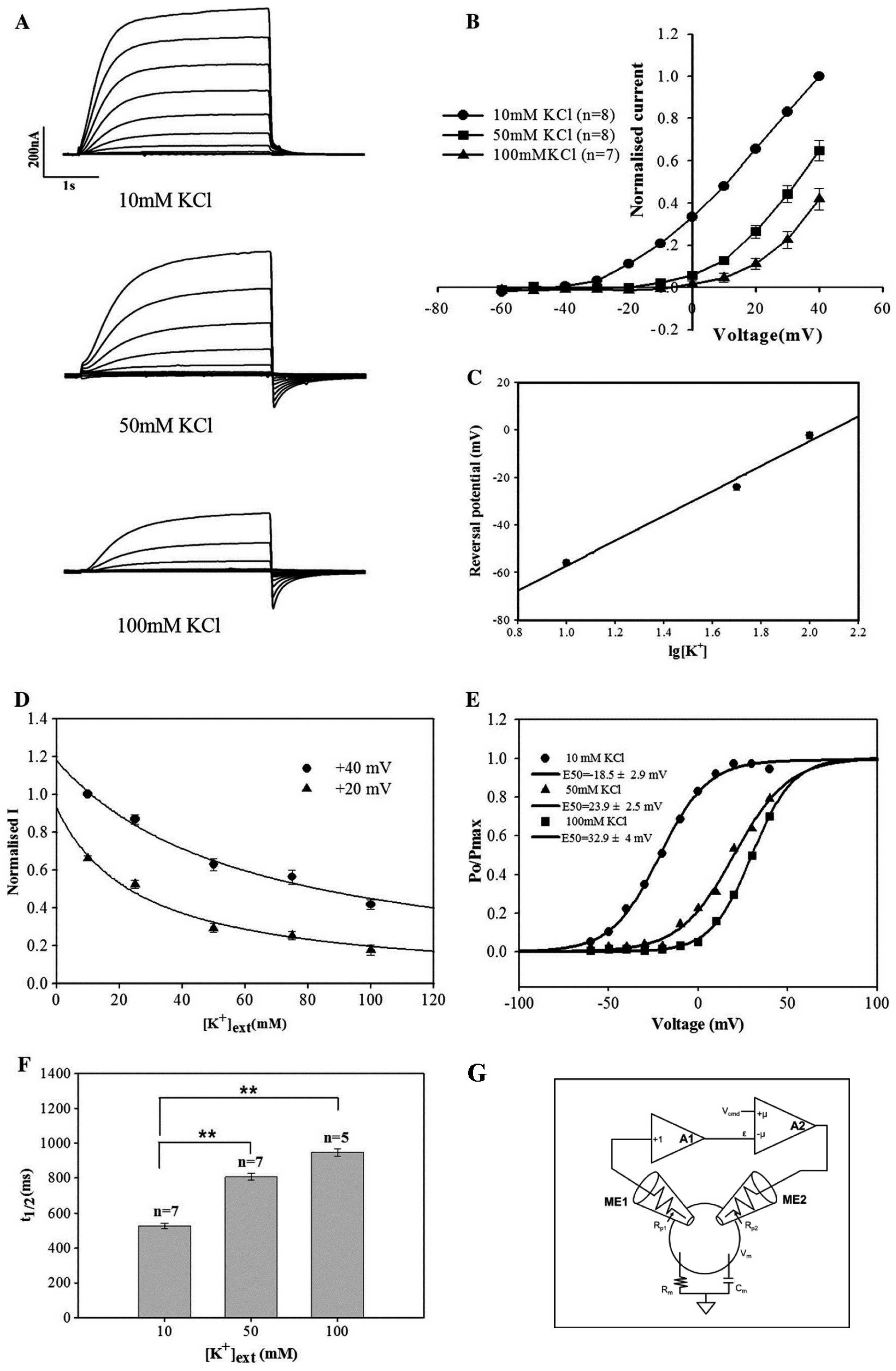 Plants 13 01423 g005 Plants 13 01423 g005