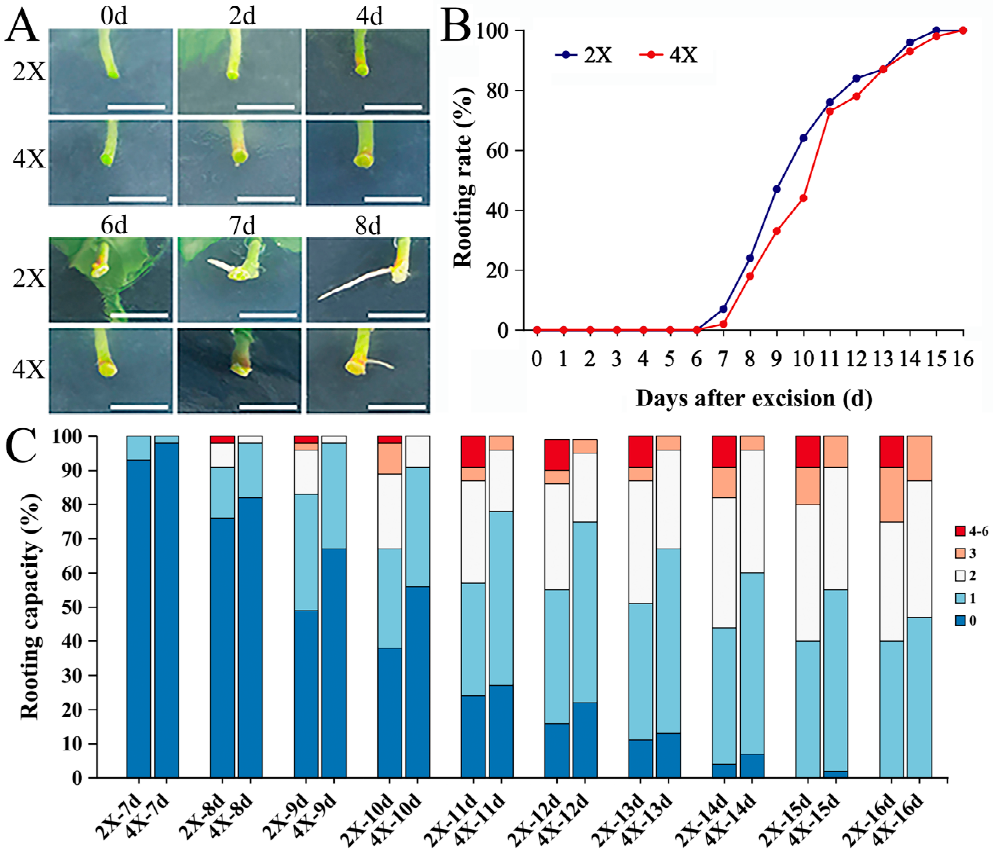 Plants 13 01430 g002