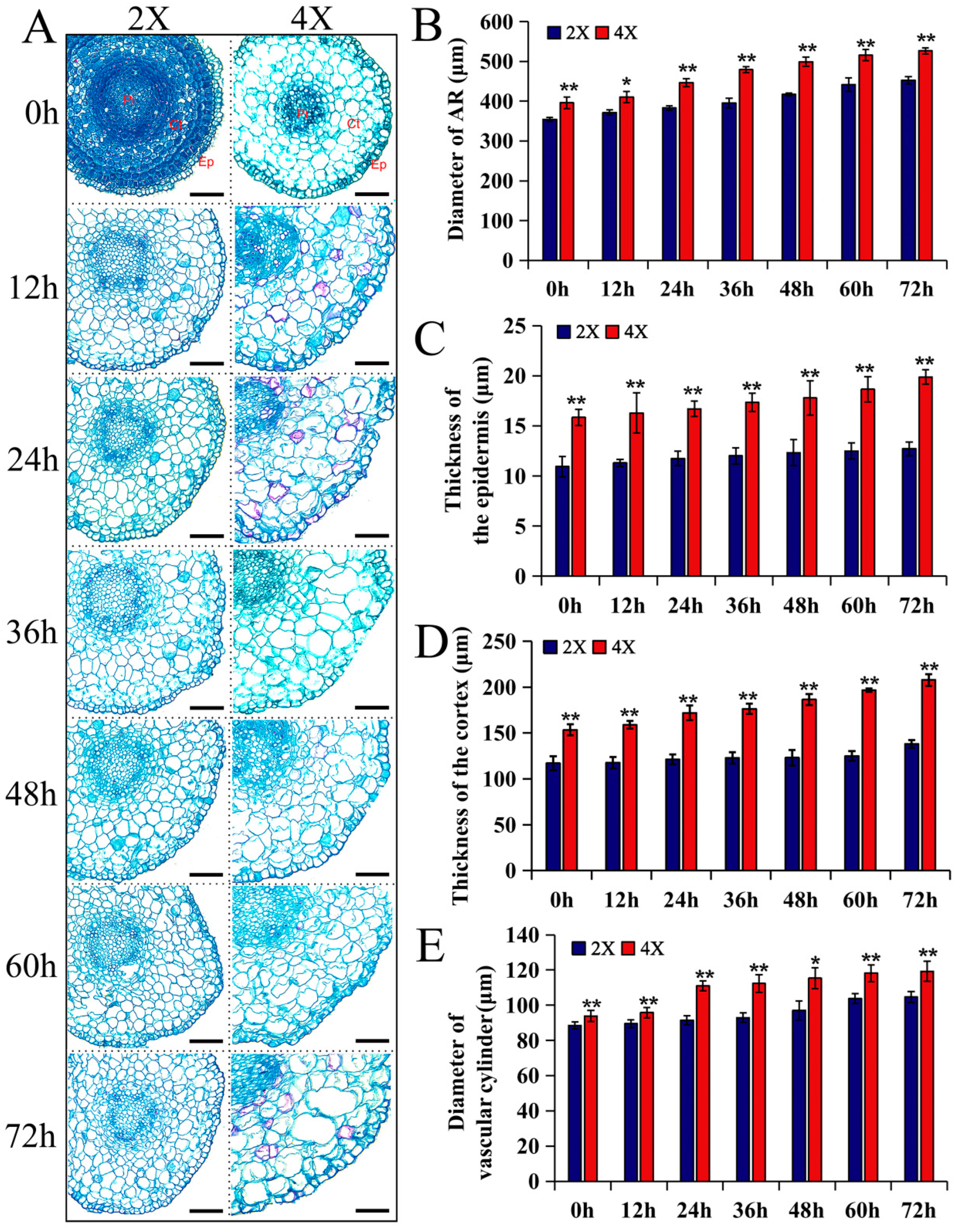 Plants 13 01430 g003