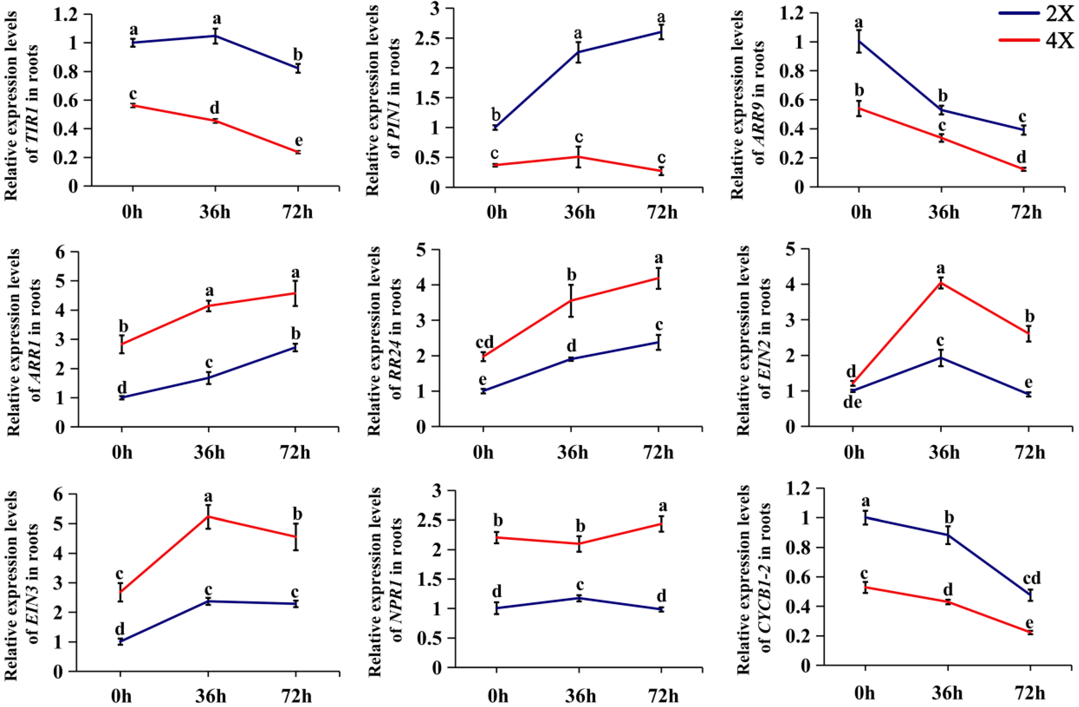 Plants 13 01430 g007