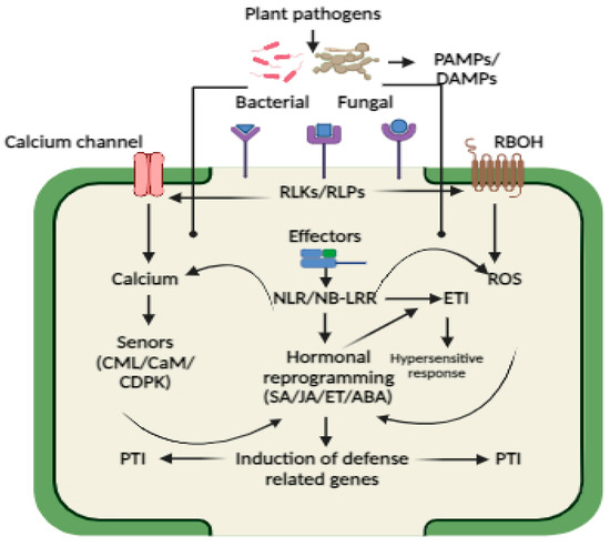 アンチ The interplay between driver mutation and oxidative stress