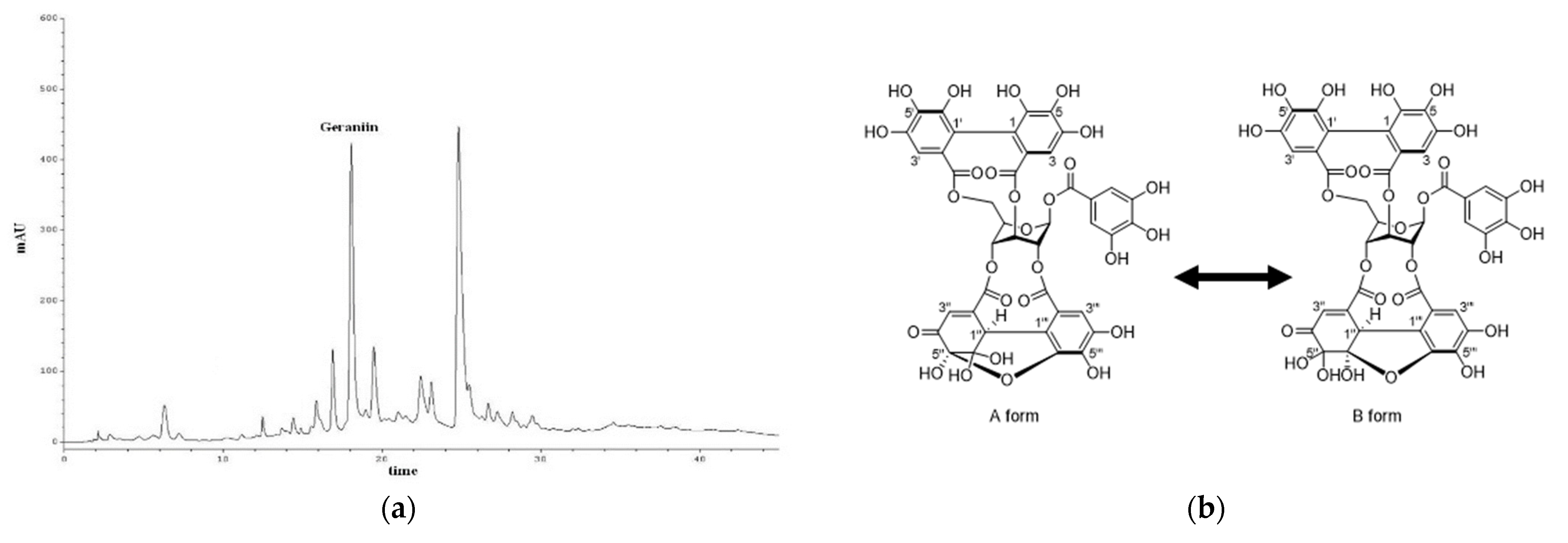 Plants 13 01437 g002