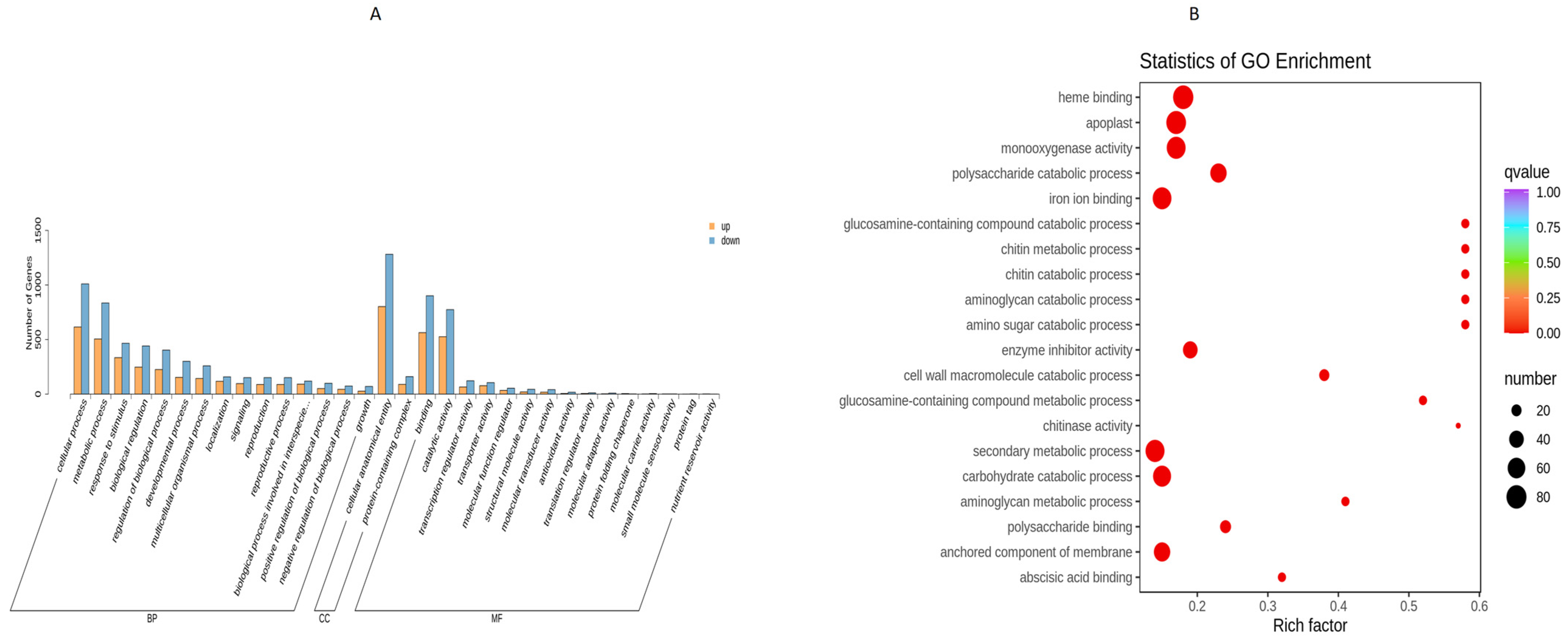 Plants 13 01441 g005