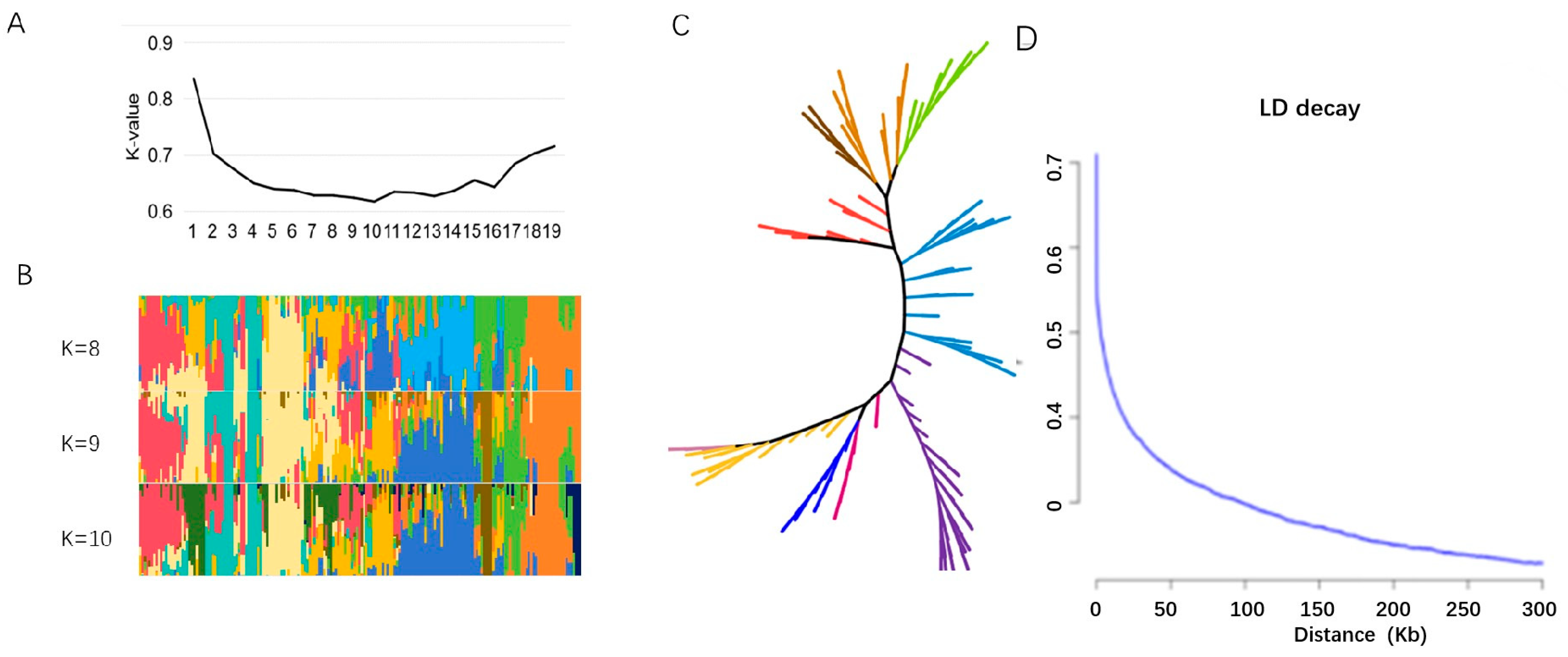 Plants 13 01442 g002
