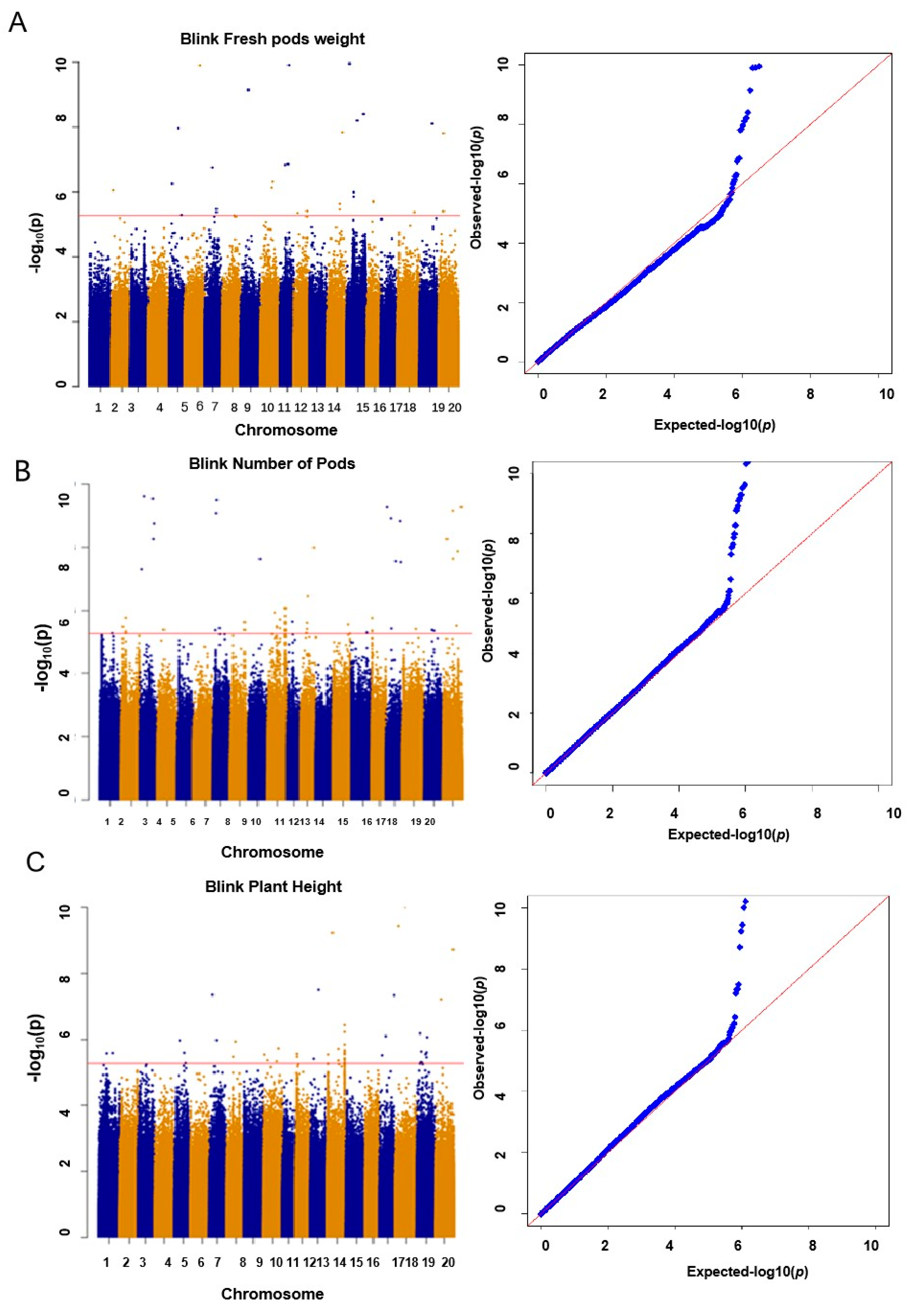 Plants 13 01442 g003