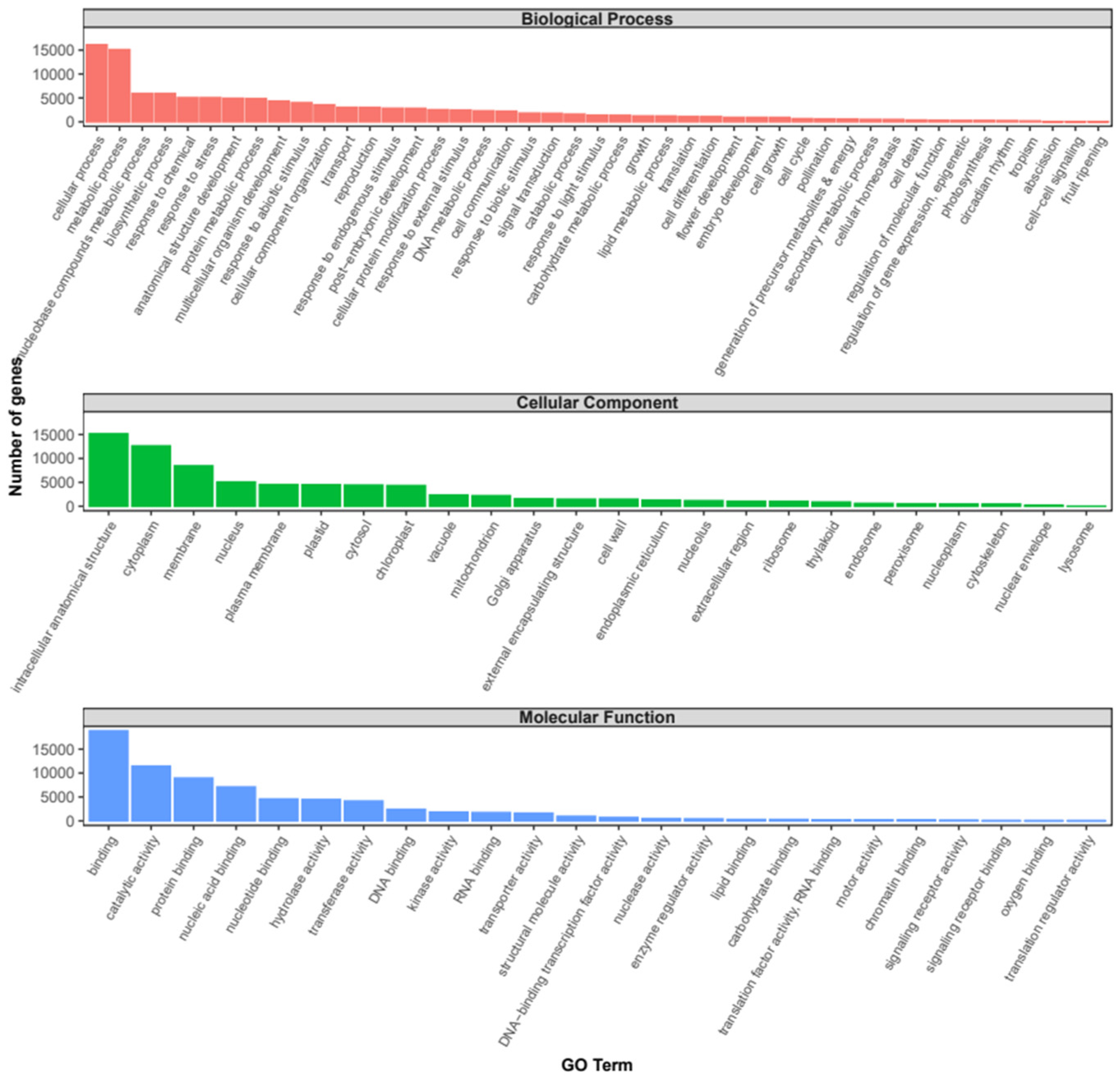 Plants 13 01443 g001